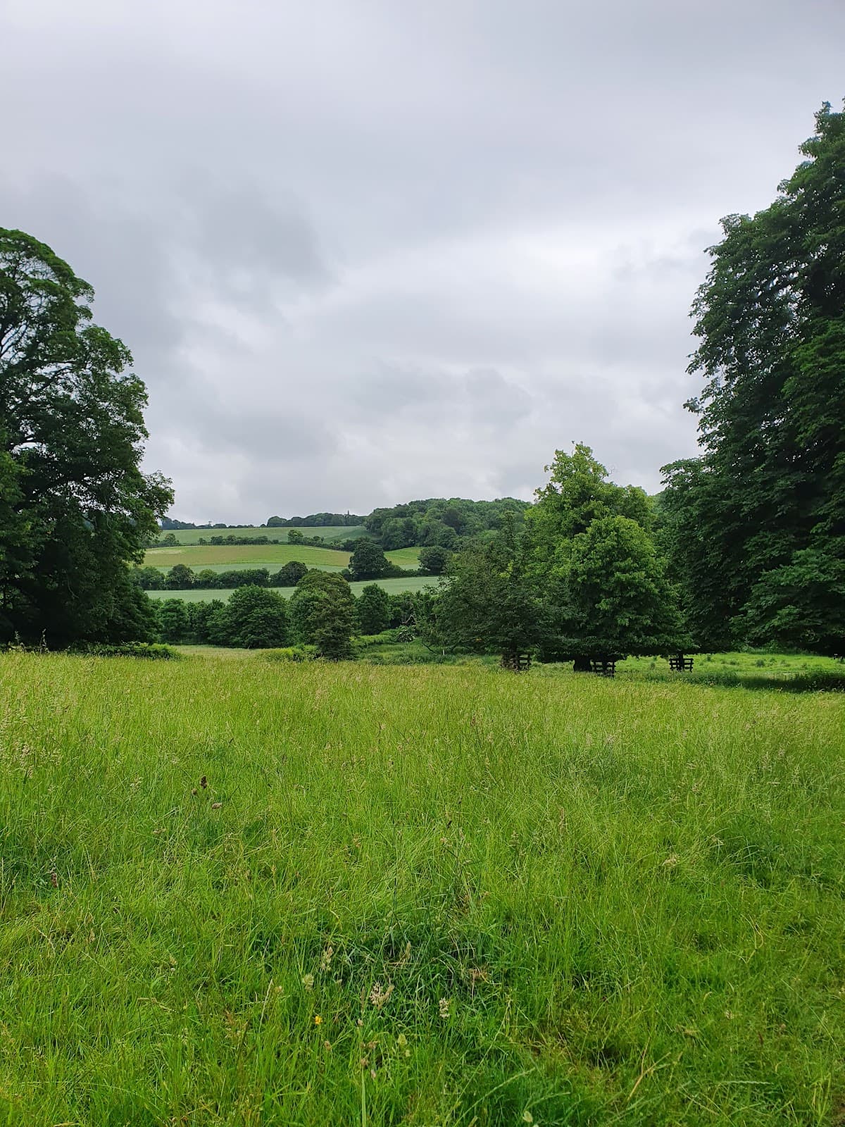 Chilterns AONB (Berkhamsted) - Image 1