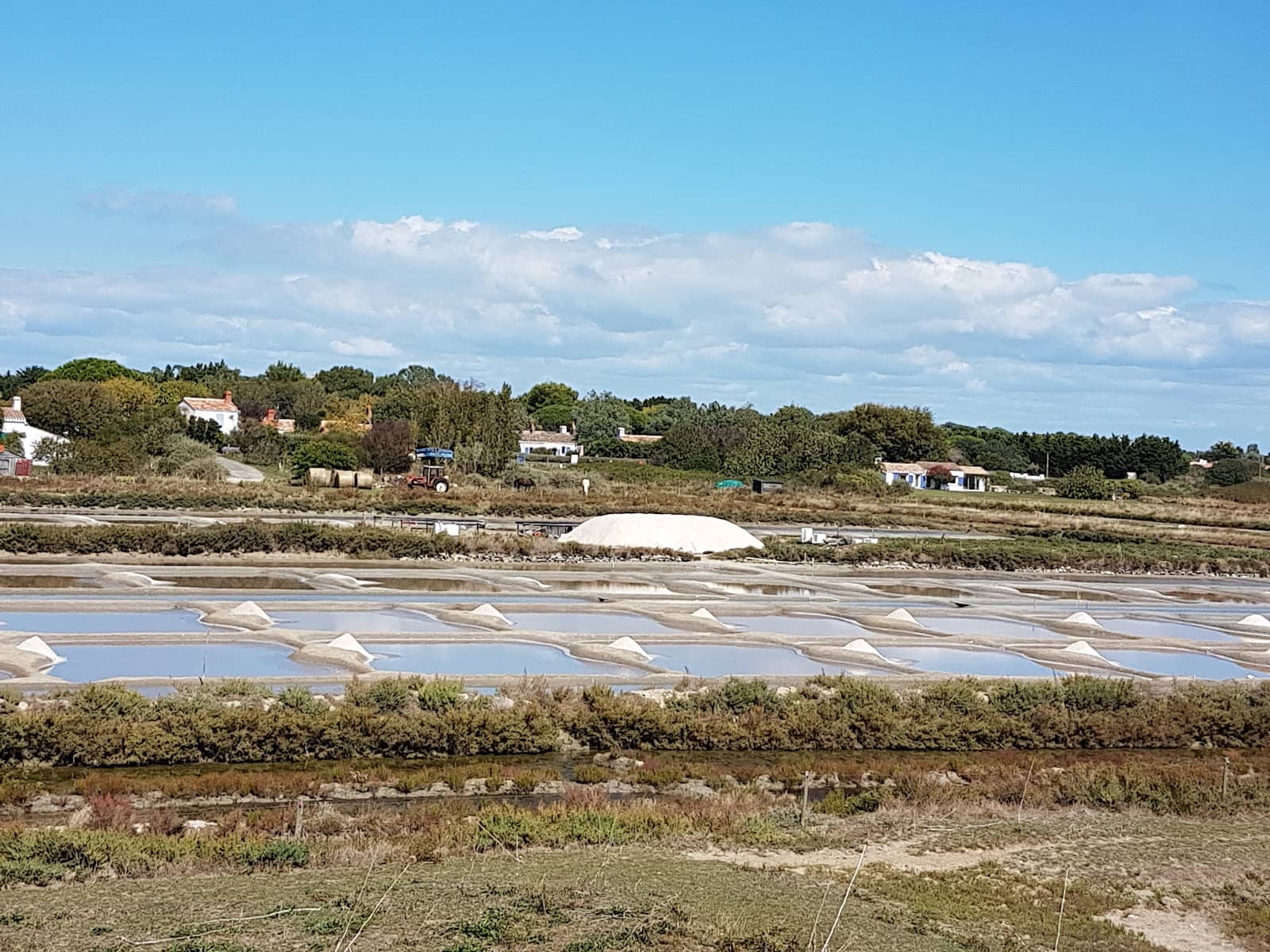 Noirmoutier Port Views
