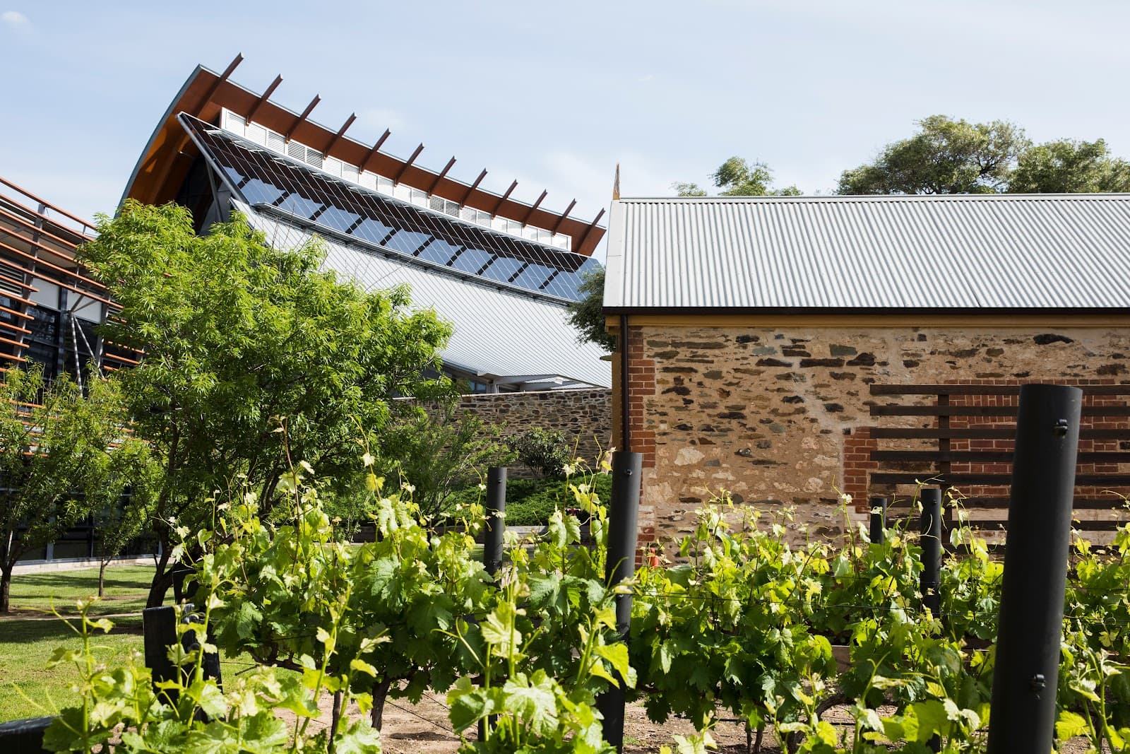 National Wine Centre Australia - Image 1