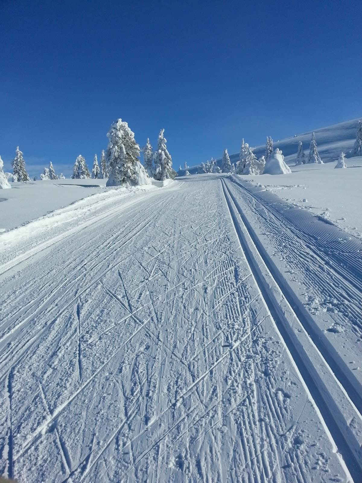 Winter Wonderland Scenery