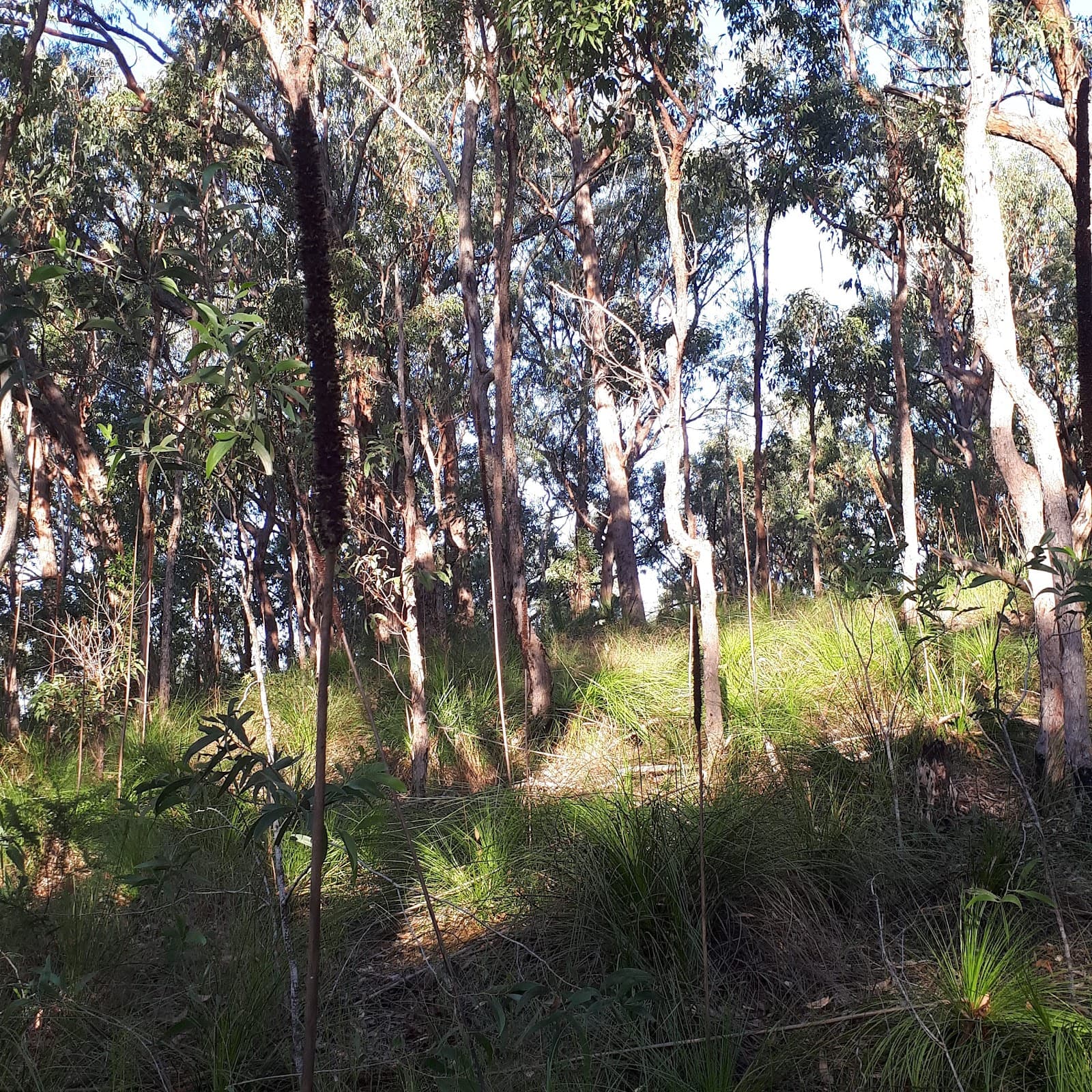 Redland Bay - Image 1