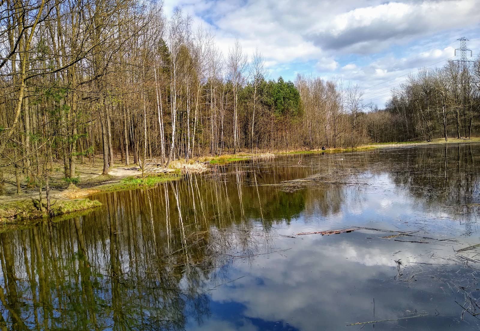 Scenic Autumn Walks