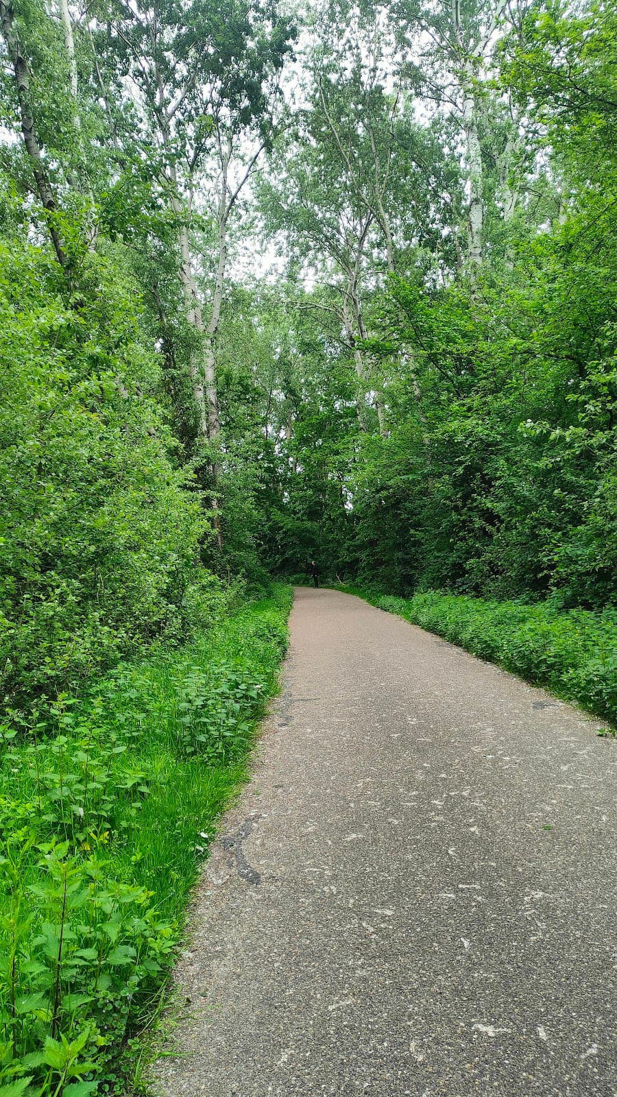 De Heinis Nature Reserve - Image 1