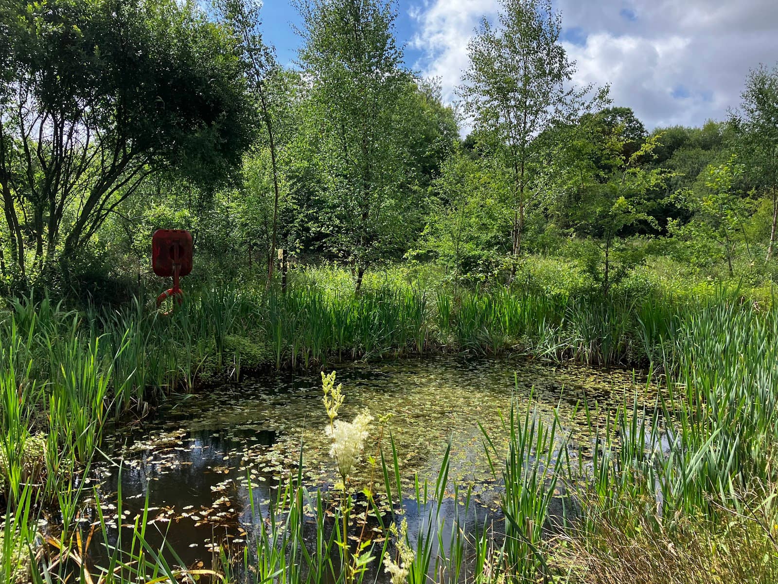 Peaceful Nature Walks