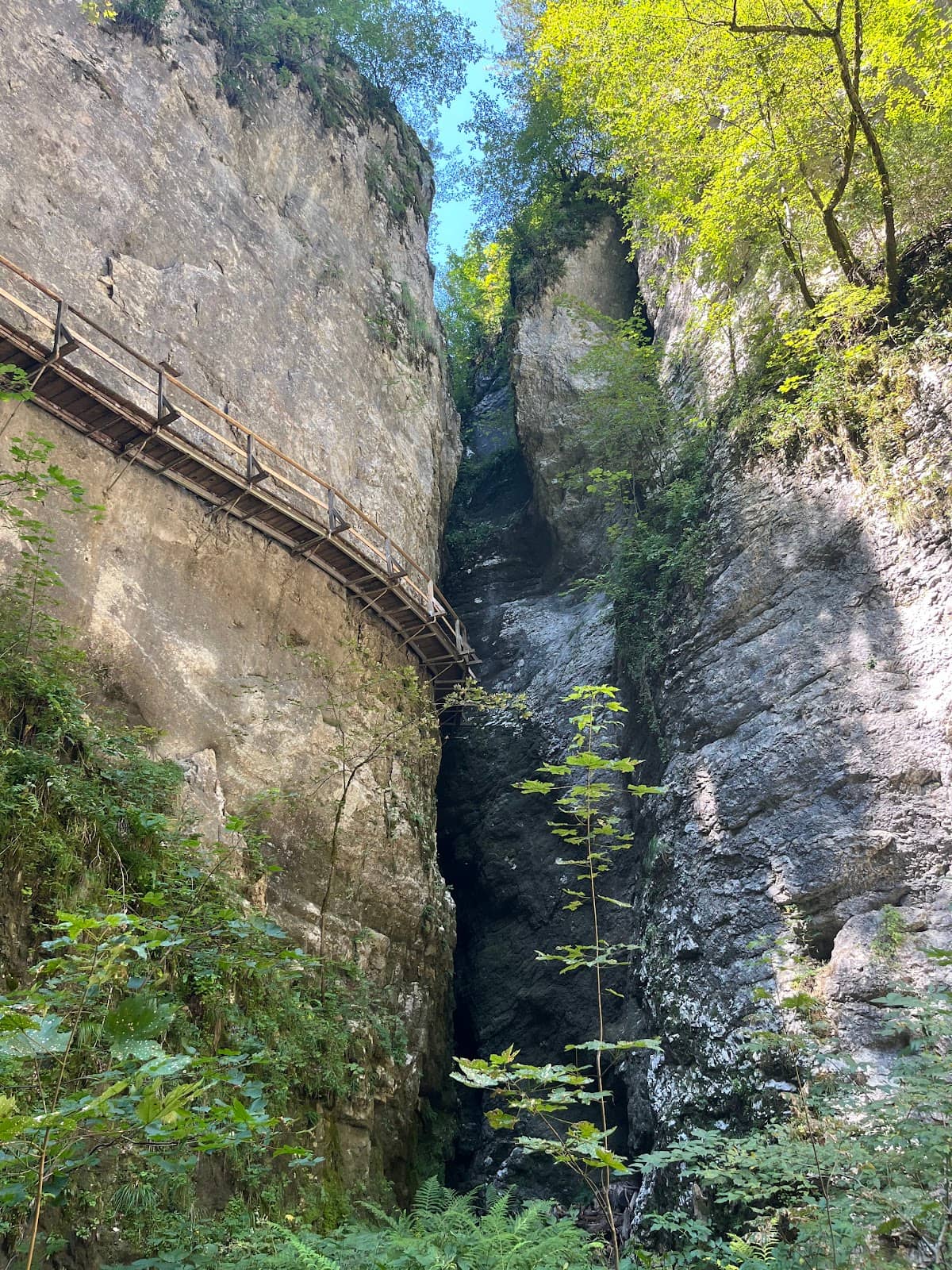 Mount Triglav Views