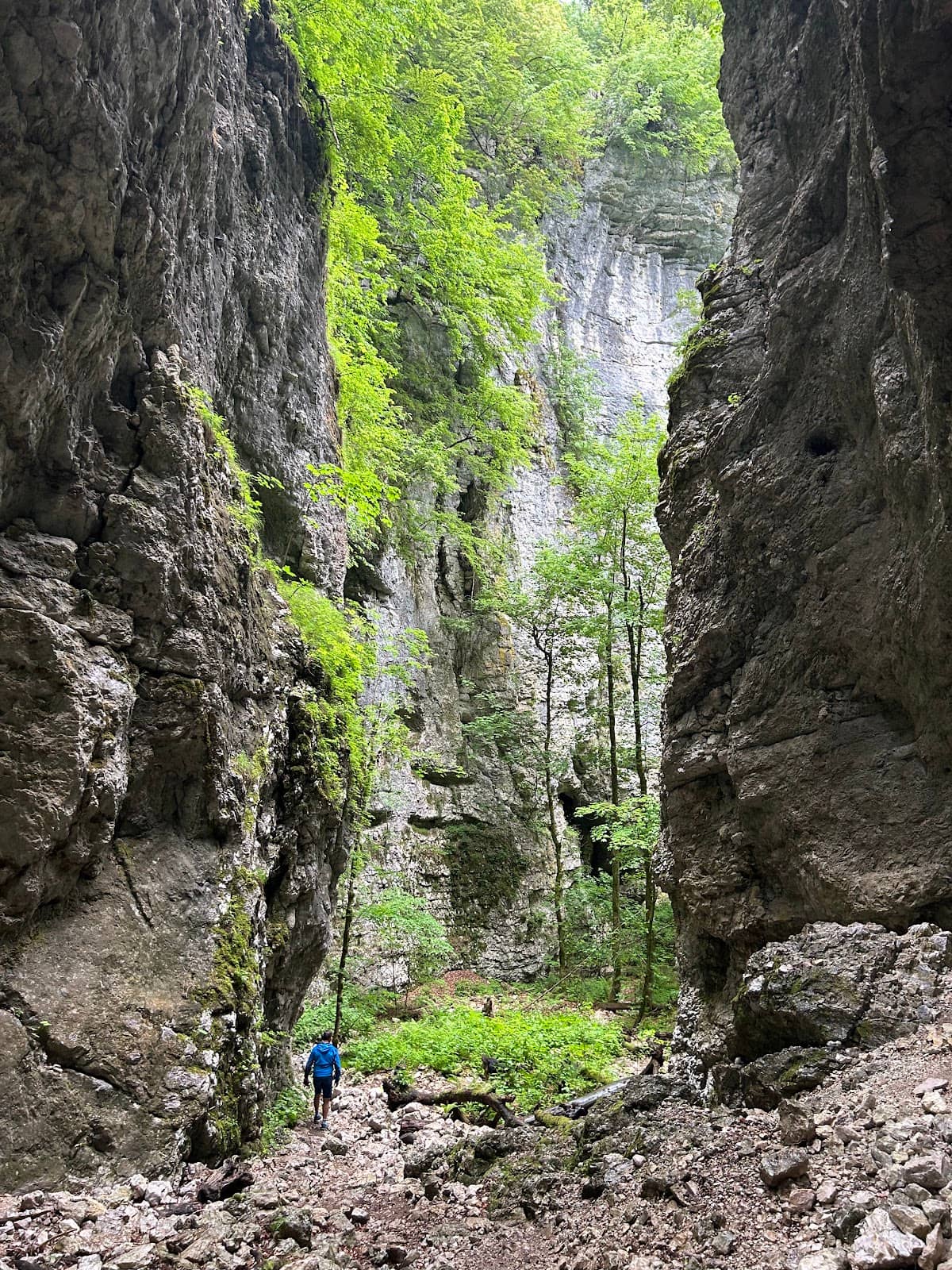 Vertical photo