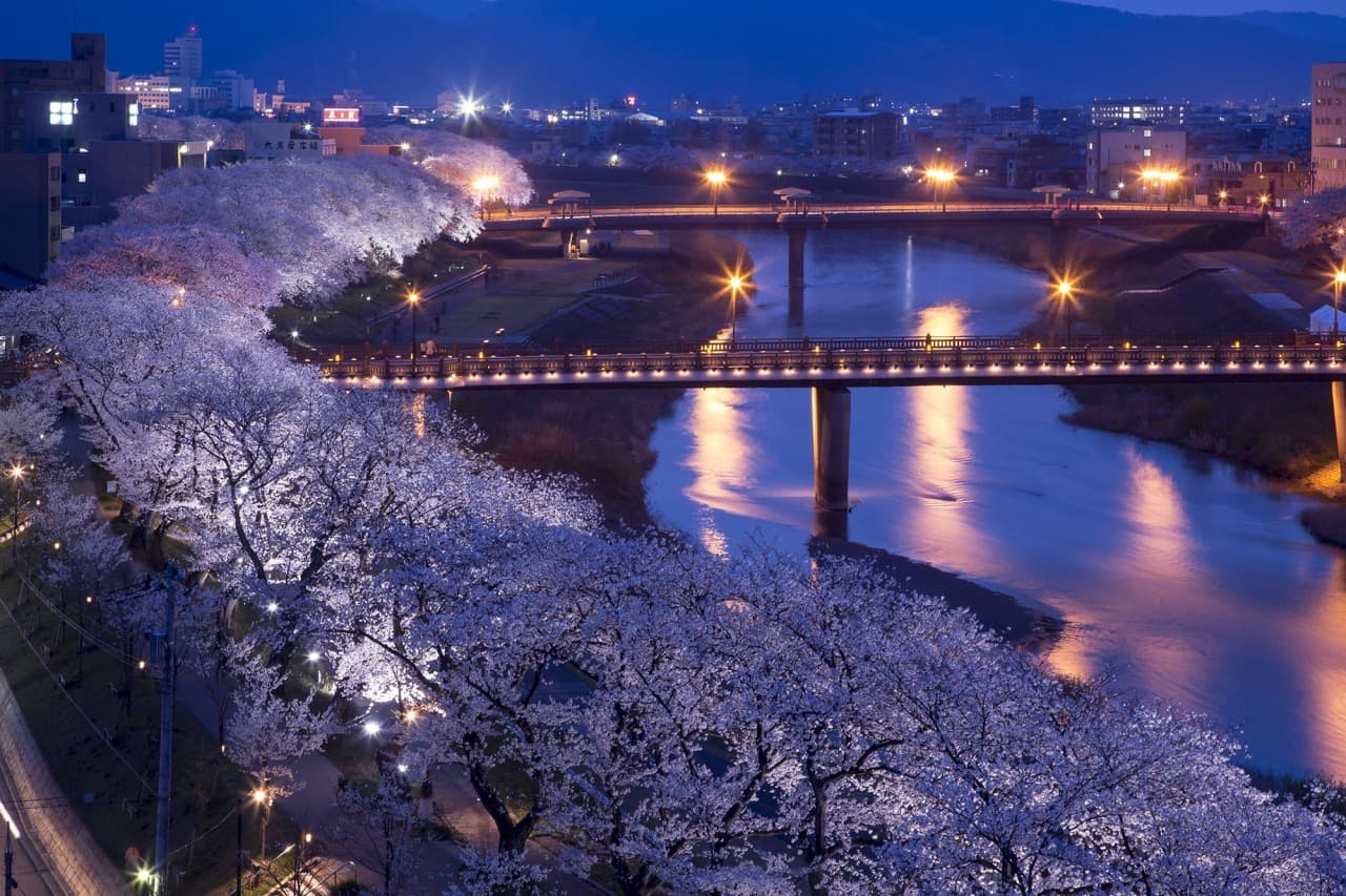 Asuwa River Cherry Embankment - Image 1
