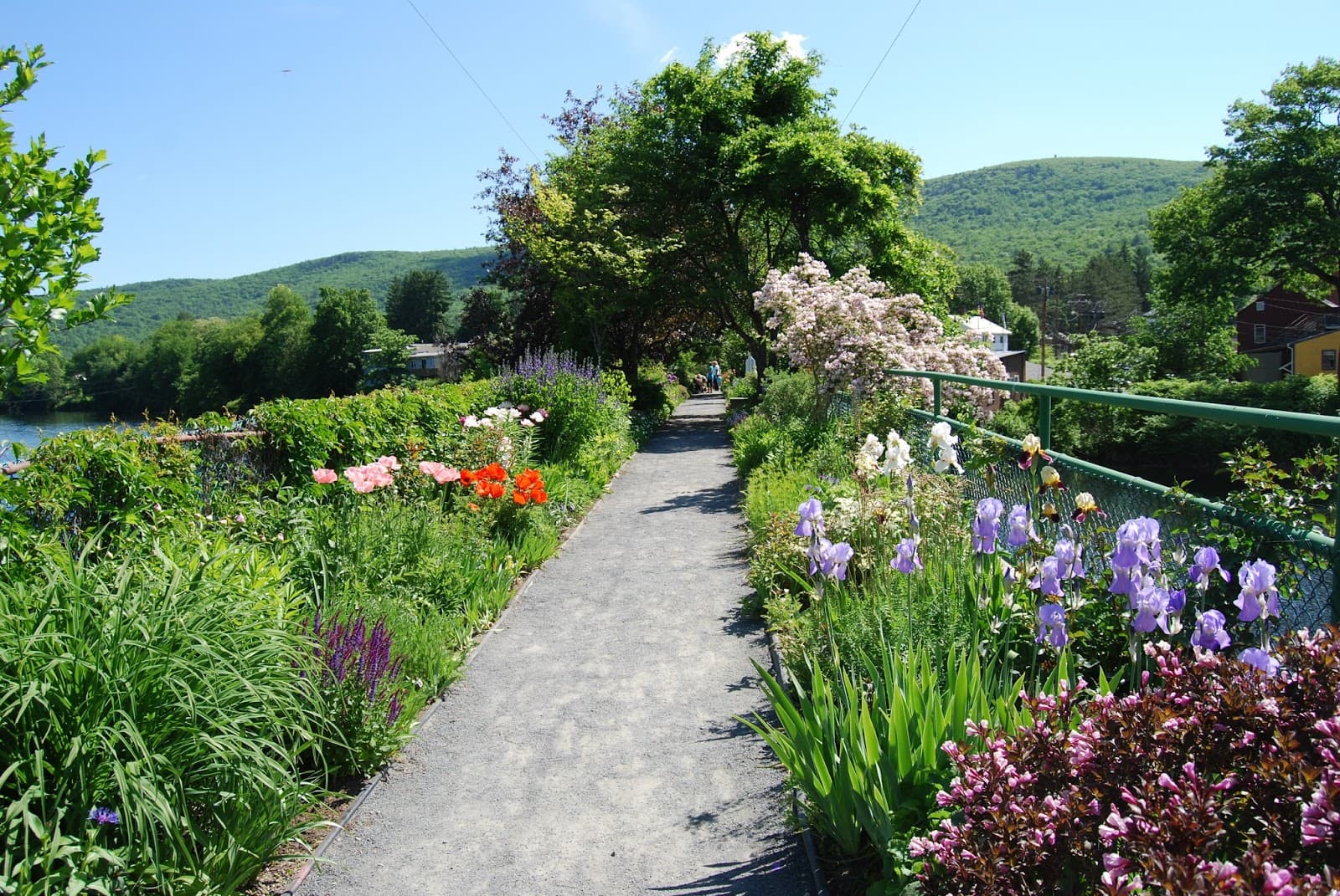 Shelburne Falls Village Center - Image 1