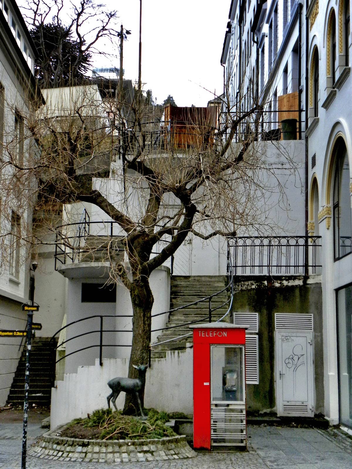 Vertical photo
