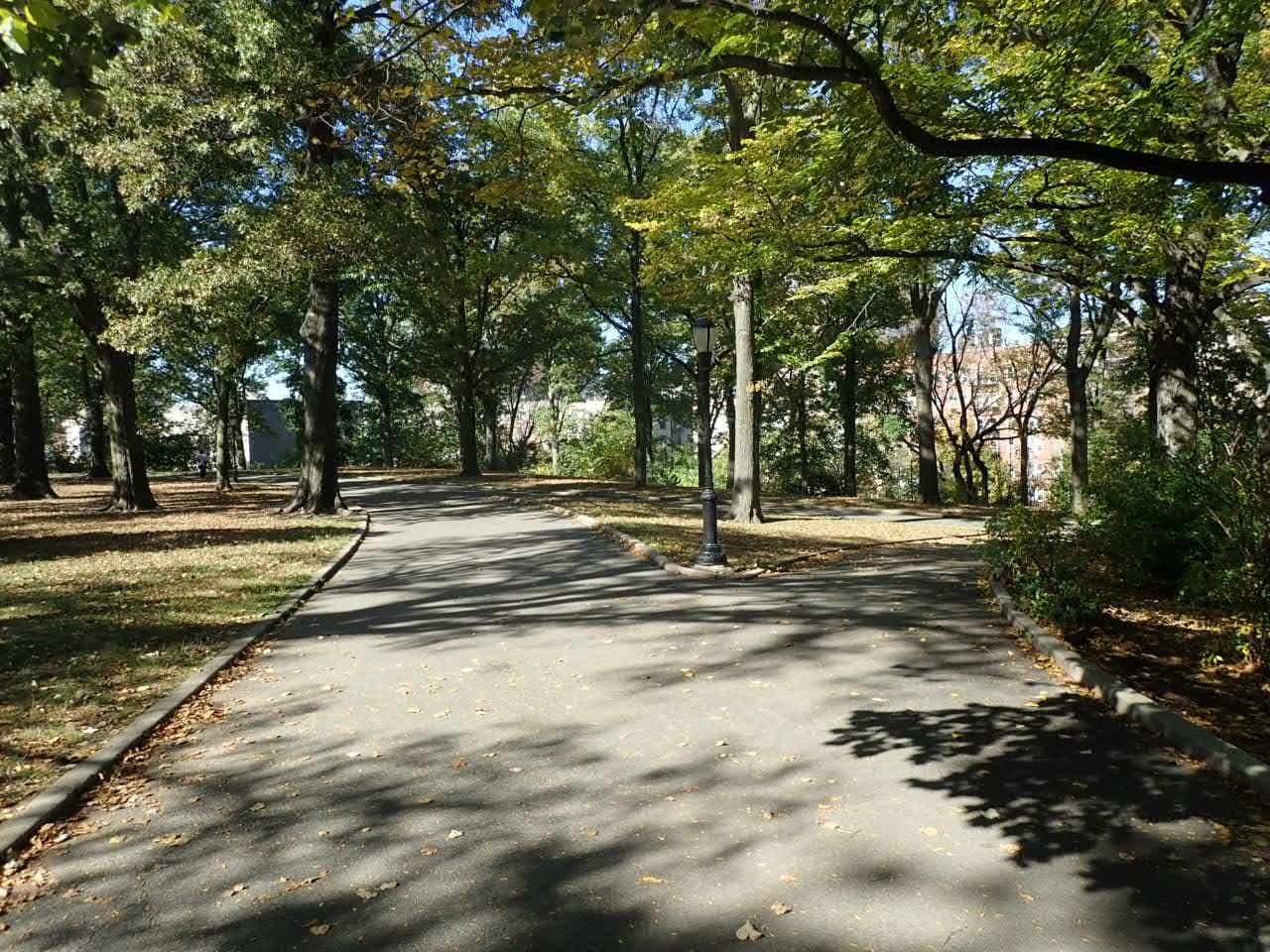 Mount Prospect Park - Image 1