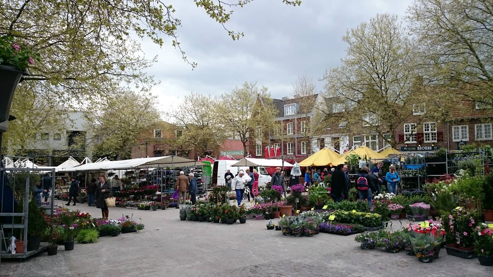 Friday Market Buzz