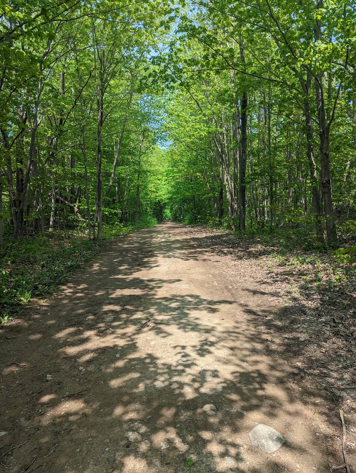 Renovated Bridges and Trails