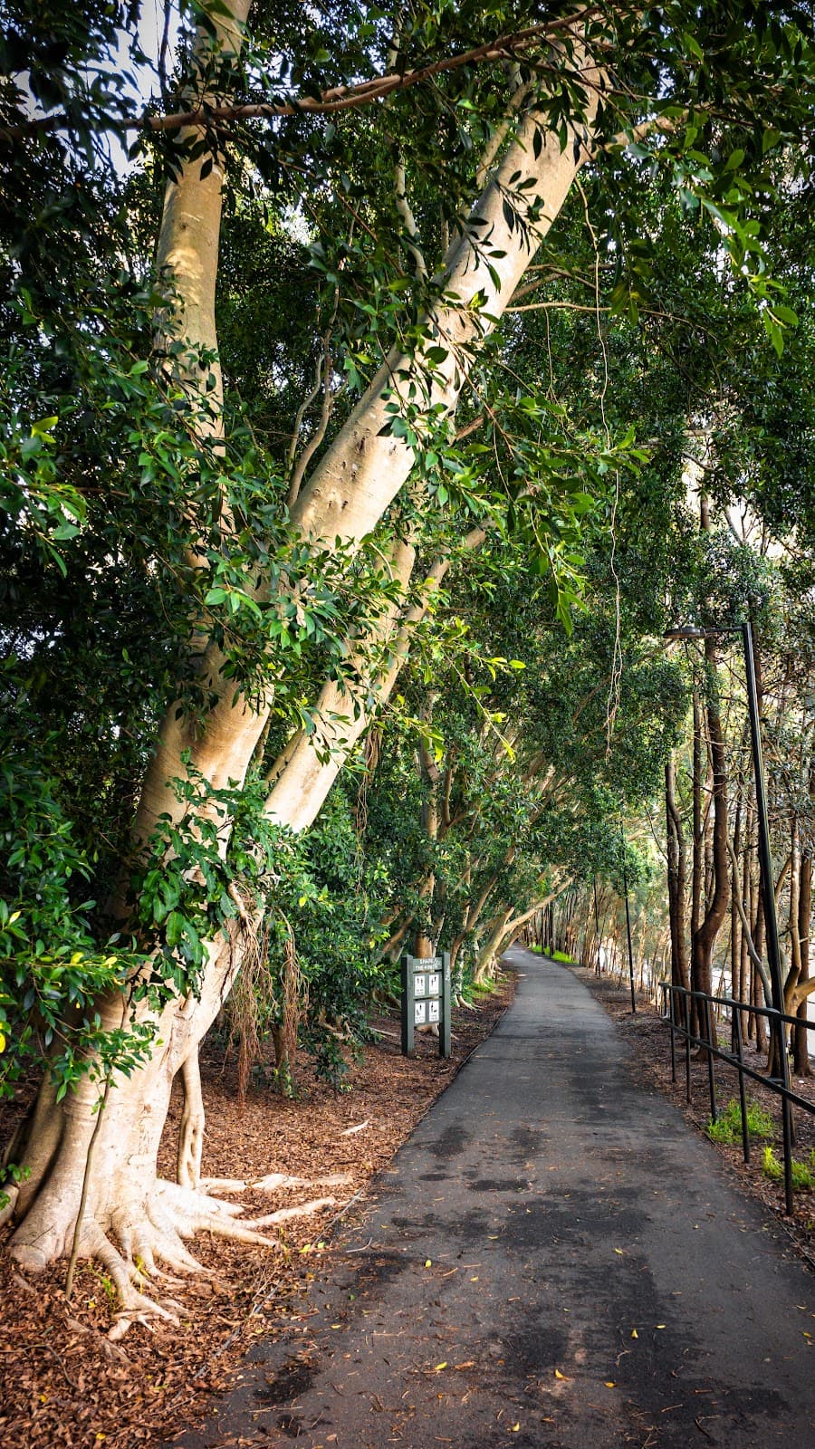 The Greenway - Image 1