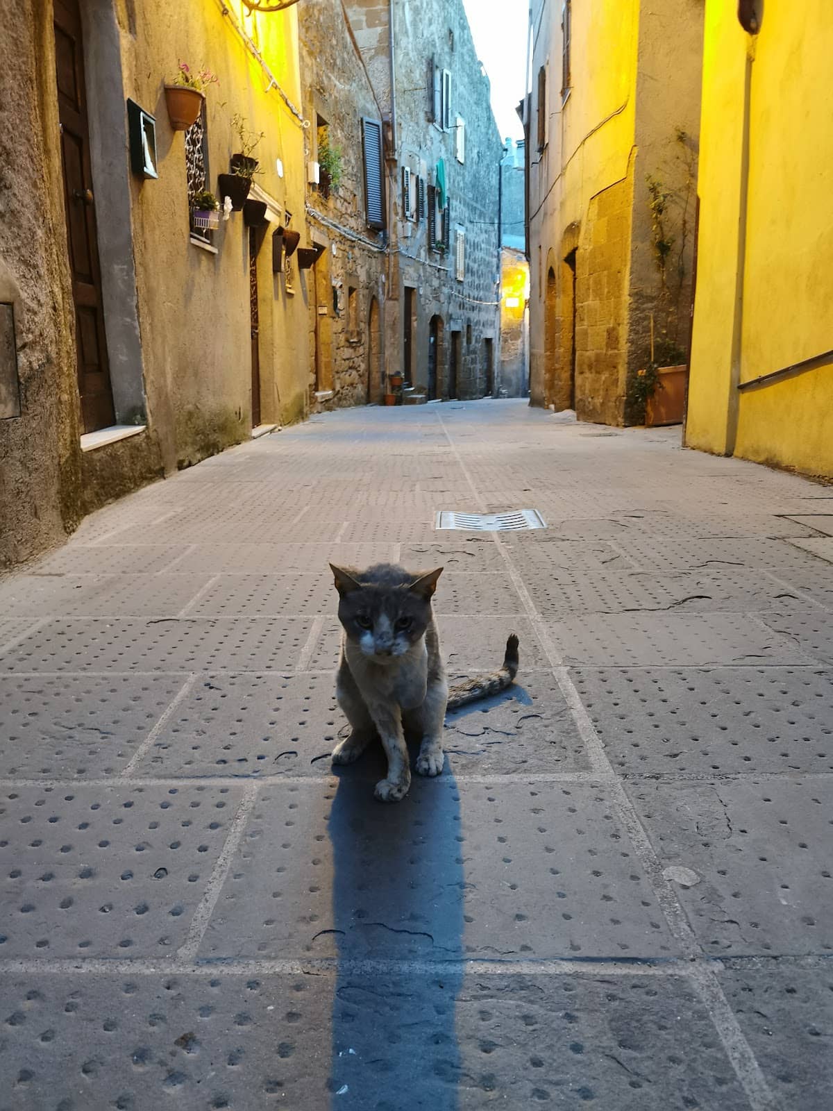 Tuff Rock Architecture
