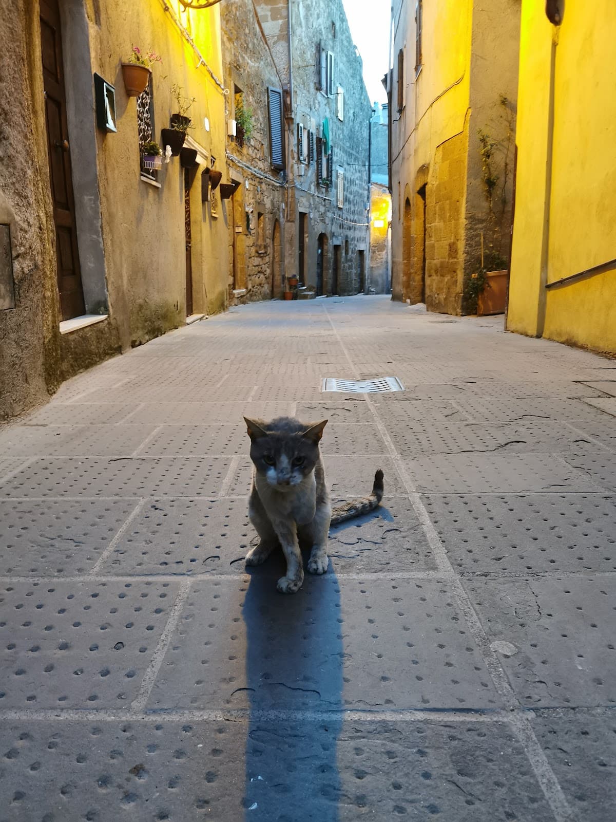 Via Zuccarelli - Image 1