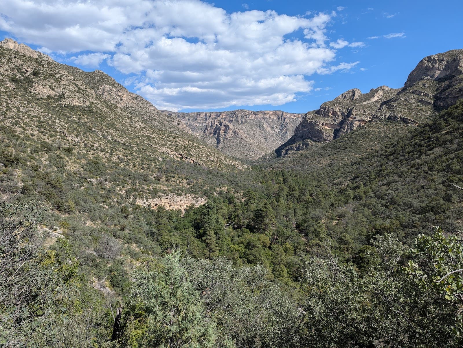 McKittrick Canyon Guadalupe Mountains National Park - Image 1