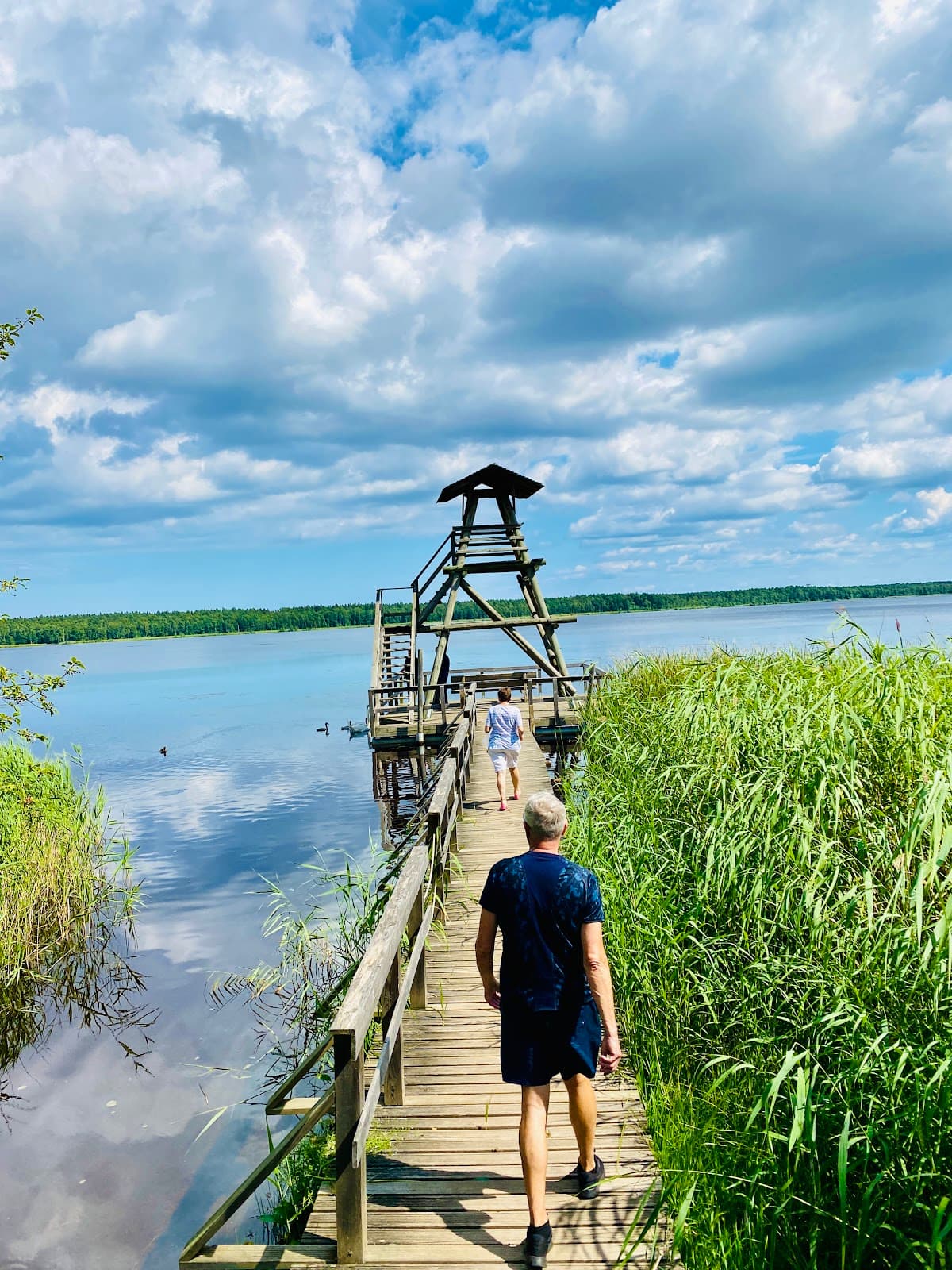 Sloka Lake and Tower - Image 1