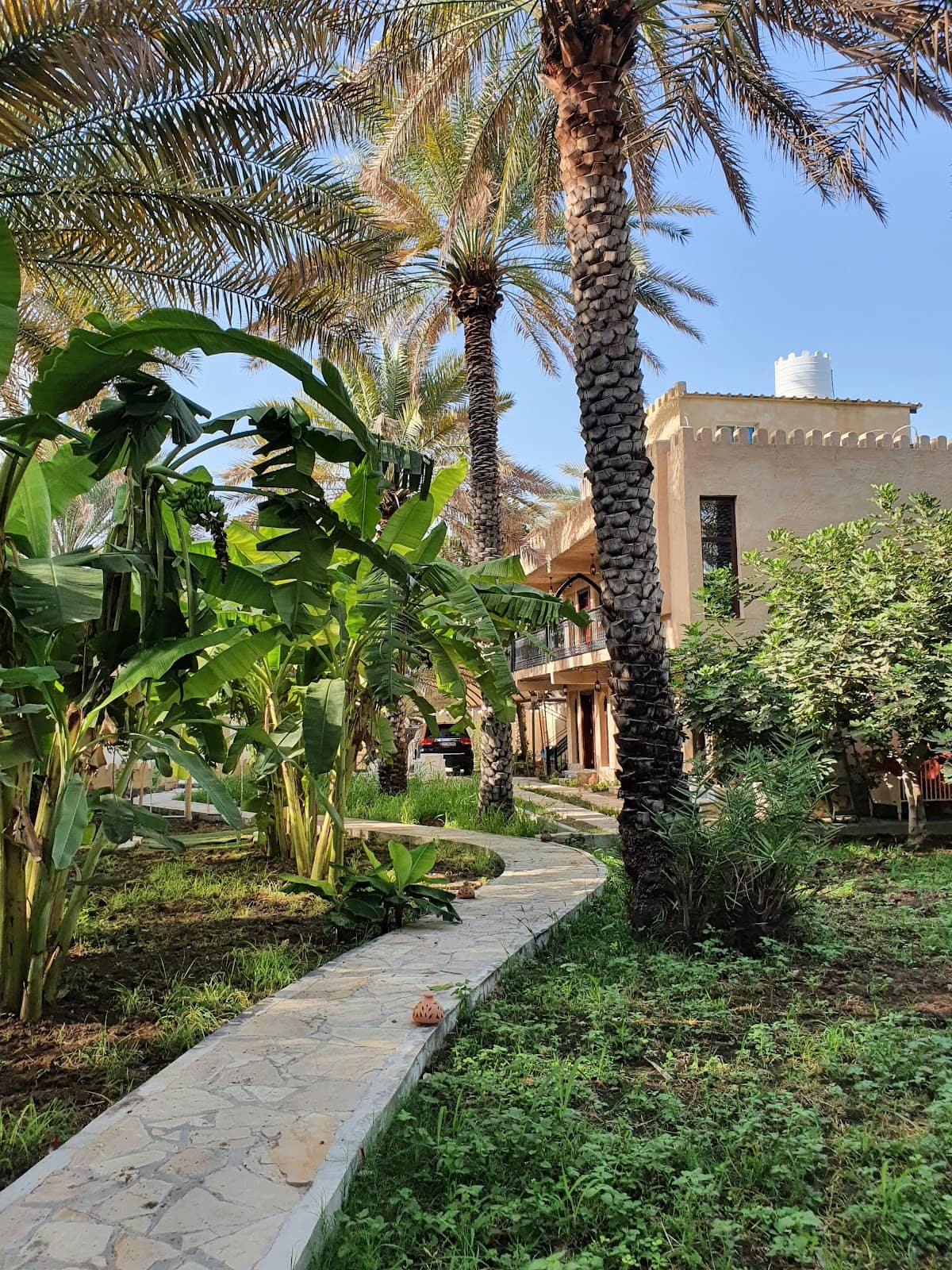 Date Palm Inn Oasis