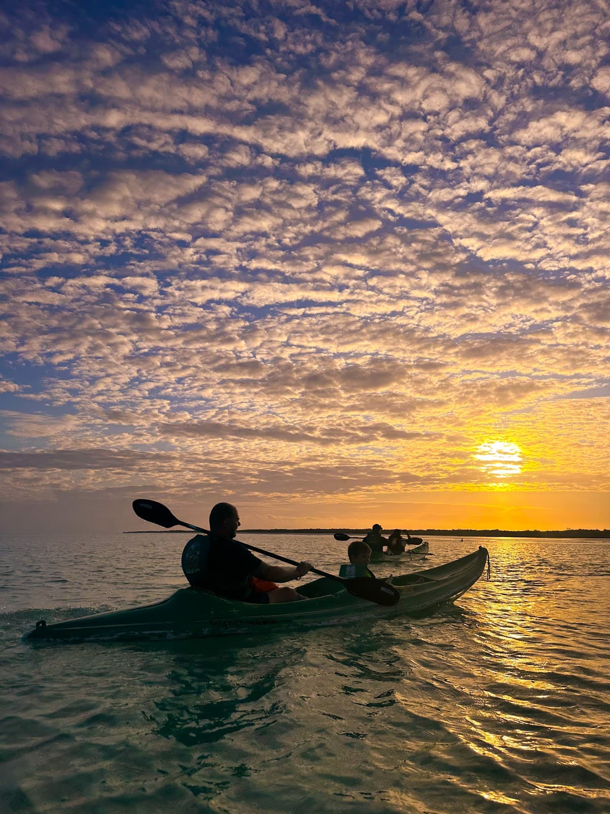 Holbox Bioluminescence Tour - Image 1