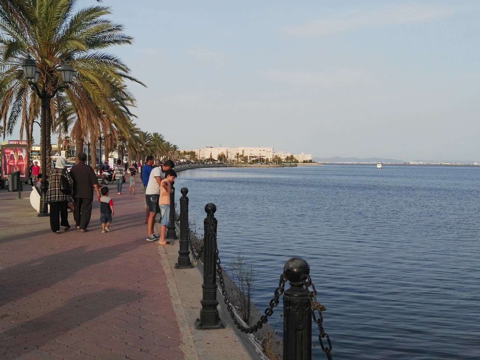 Lake of Tunis - Image 1