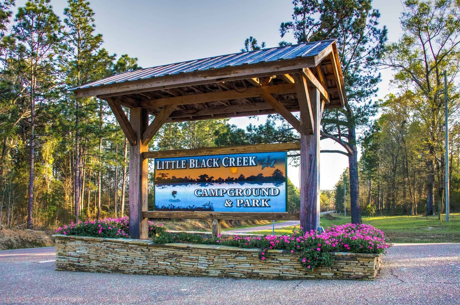 Disc Golf Paradise