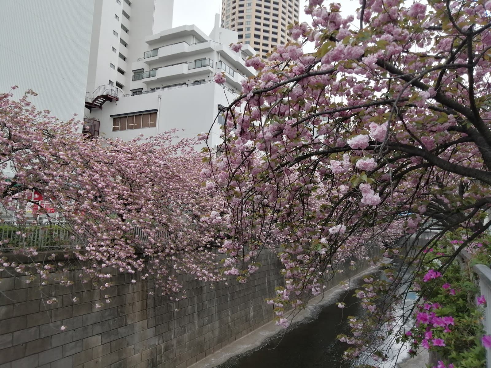 Nakameguro - Image 1