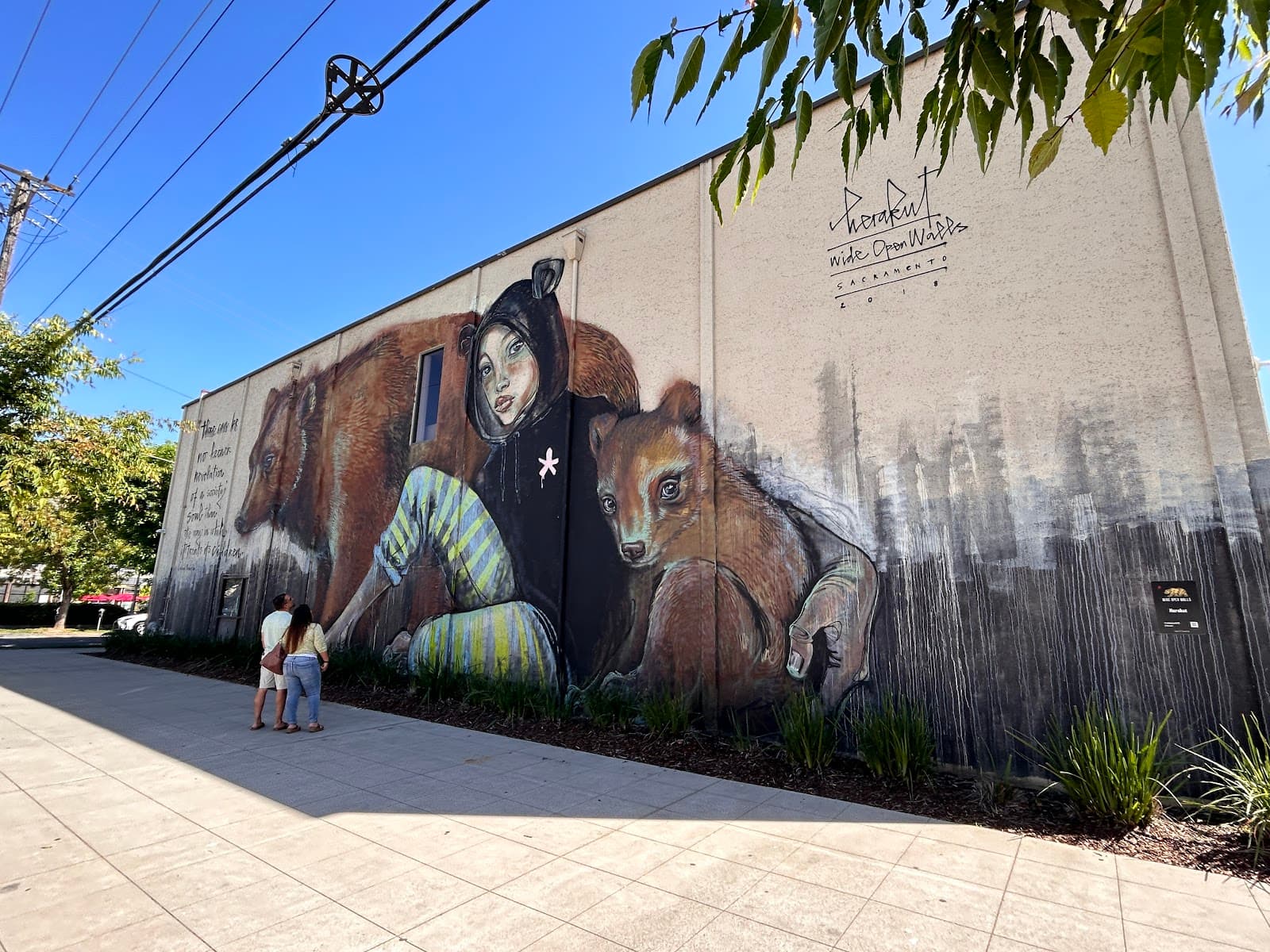 Wide Open Walls Murals - Image 1