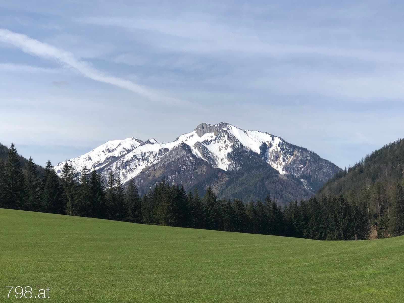 Enns-Donau-Winkel Nature Reserve - Image 1