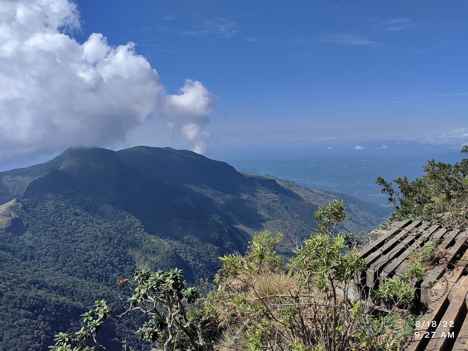 Mini World's End Horton Plains - Image 1
