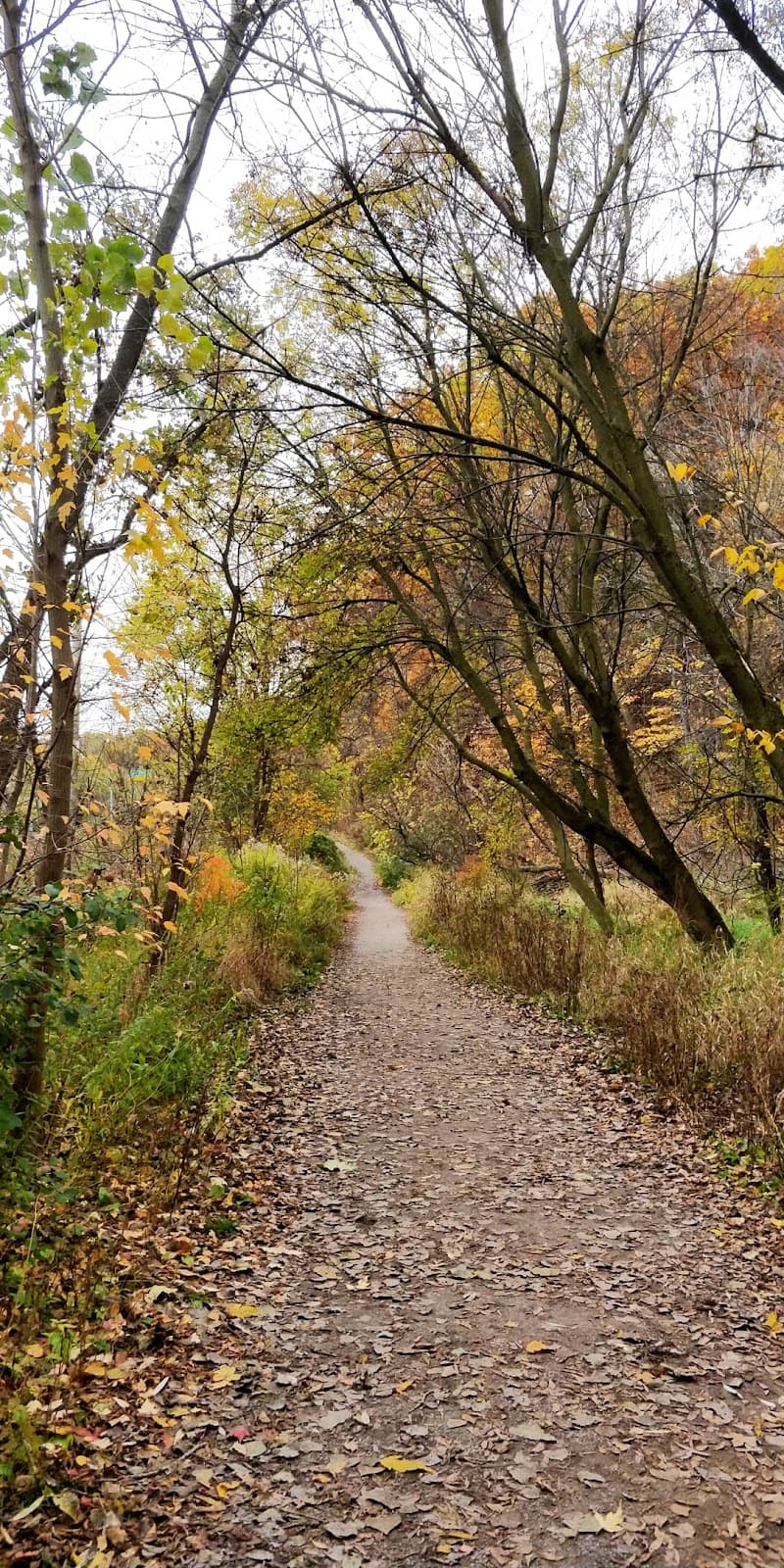 Beltline Trail - Image 1