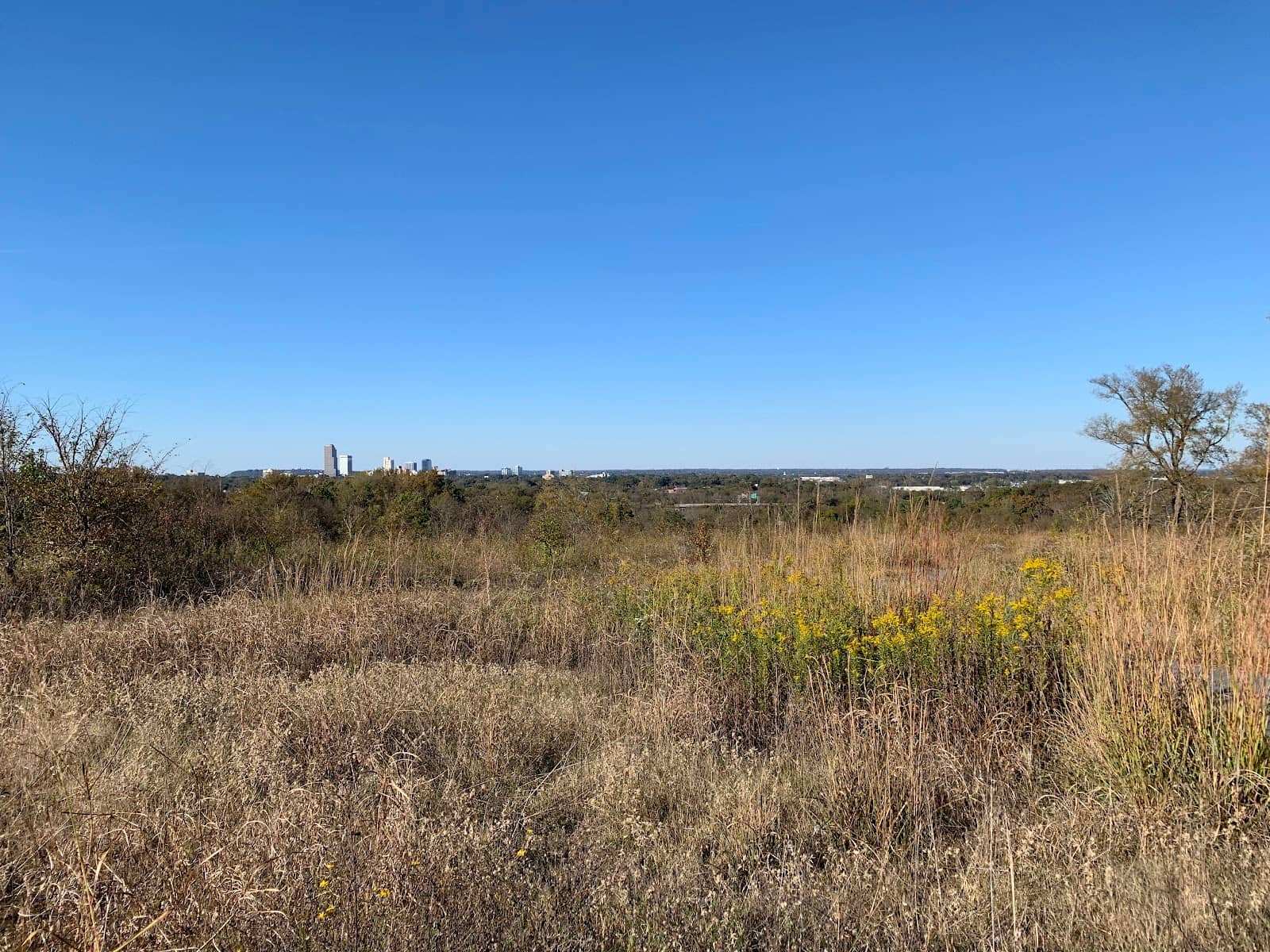 Oak Savannah Ecosystem