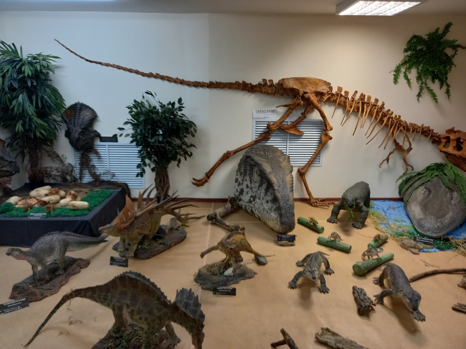 Vyatka Paleontological Museum (Kotelnich) - Image 1