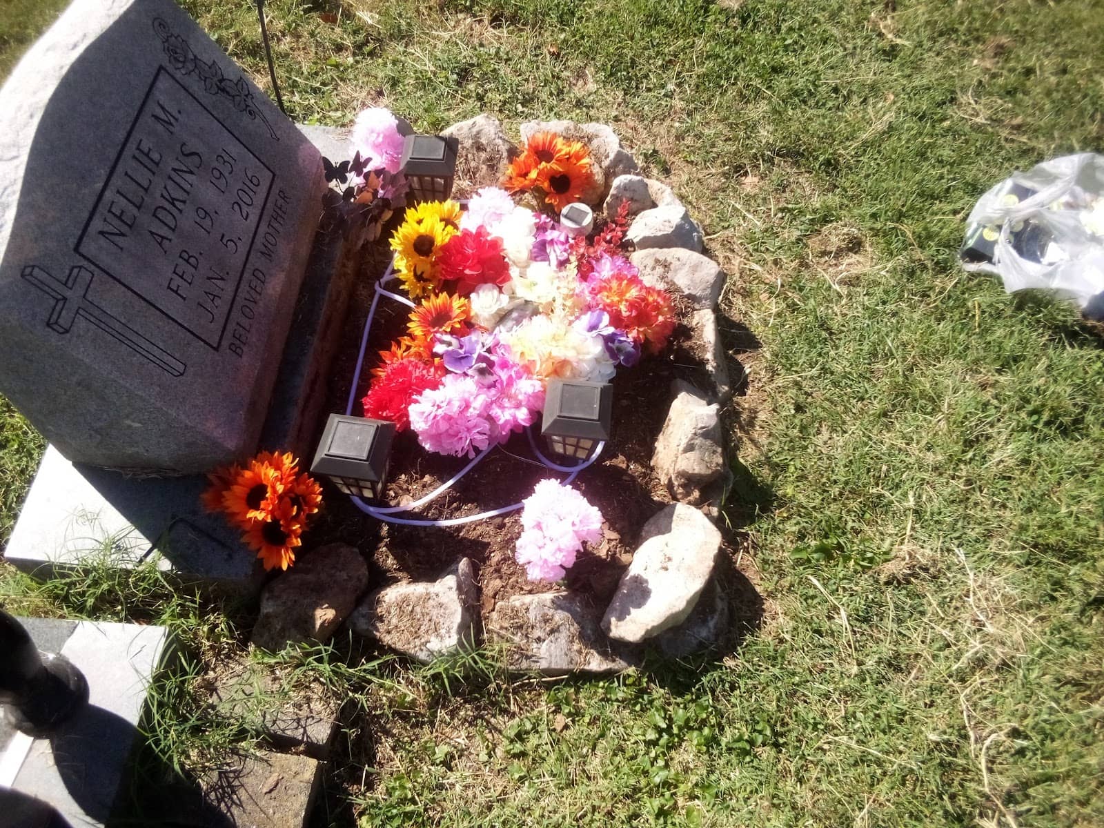 Japanese Settlers' Legacy