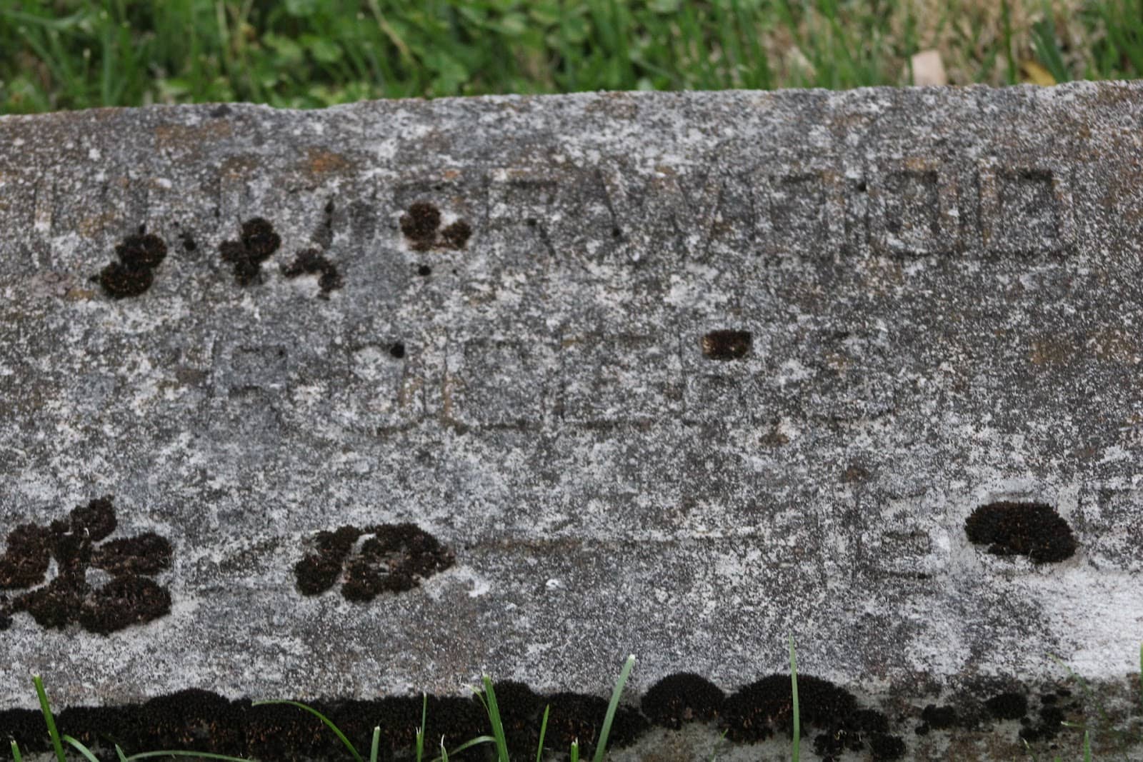 Vertical photo