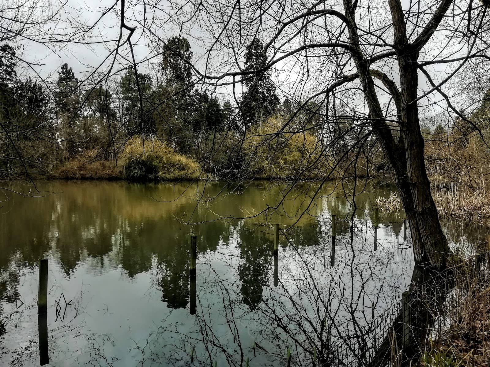 Nature Tots Sessions