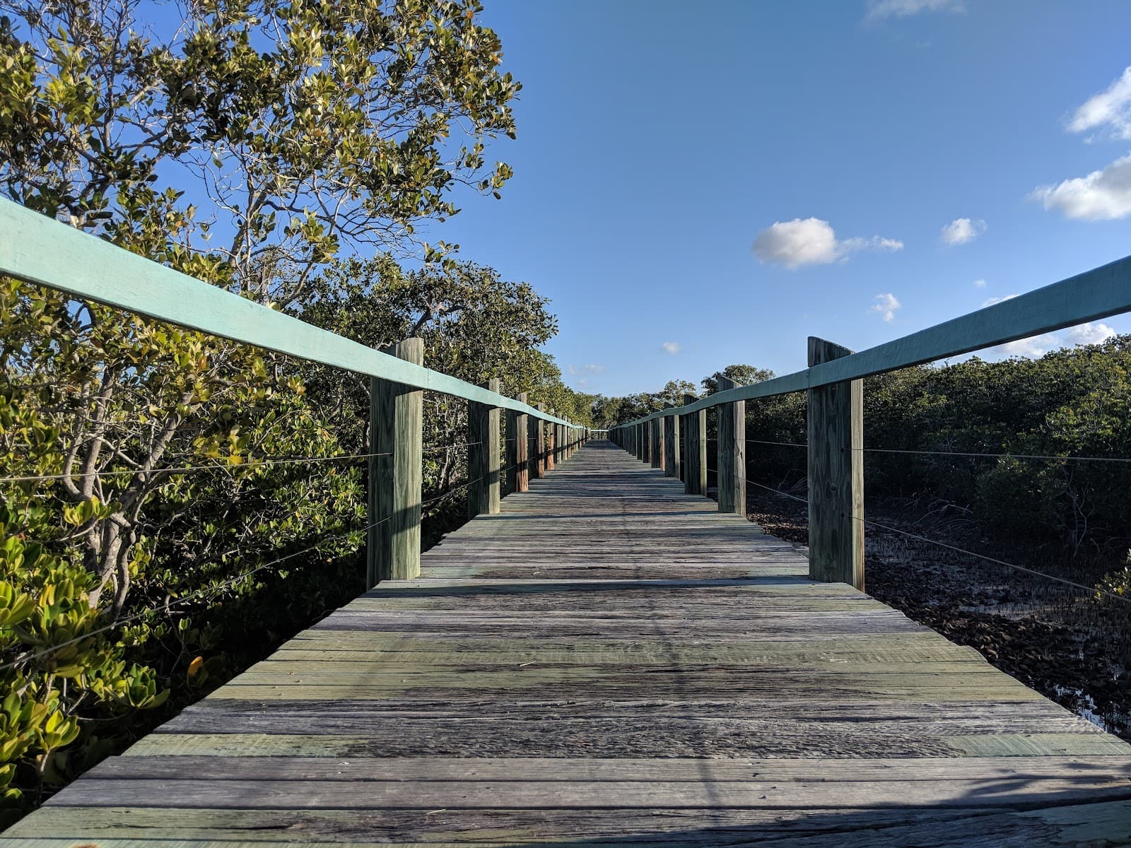 Maroochy River Conservation Park - Image 1