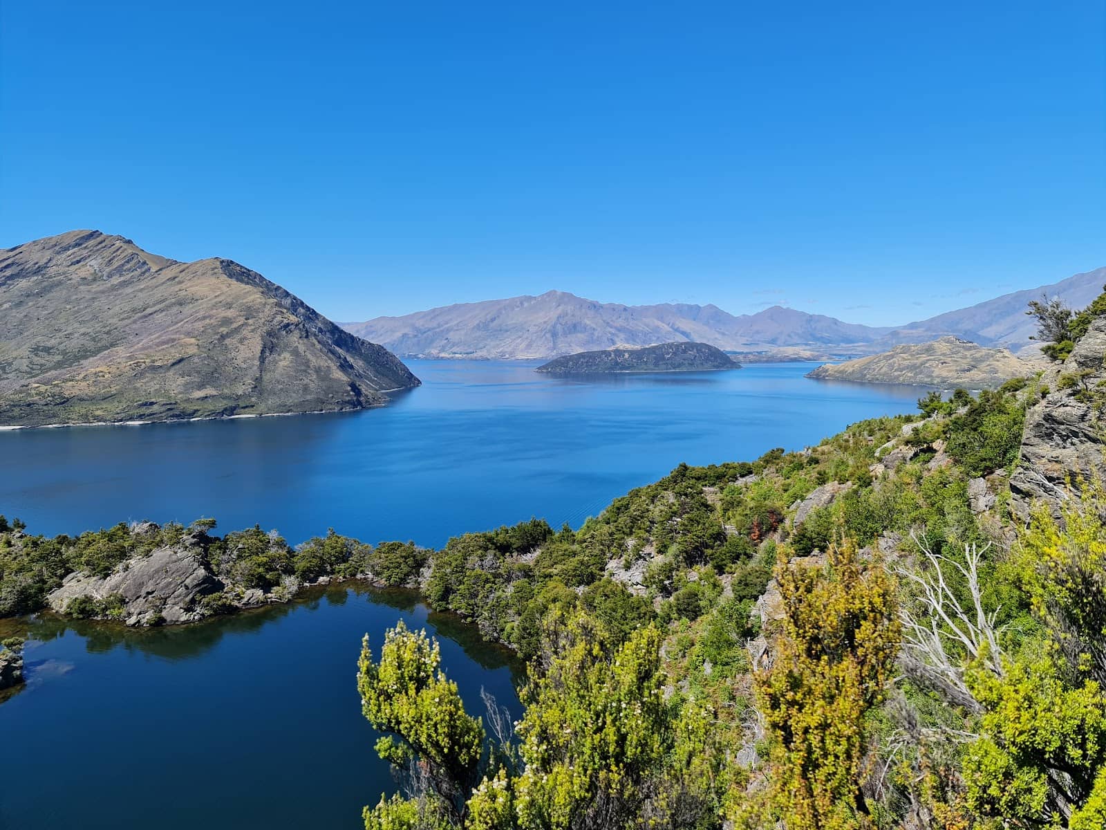 Native Flora and Fauna