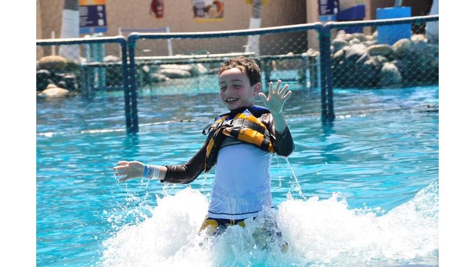 Dolphin Discovery Puerto Vallarta - Image 1