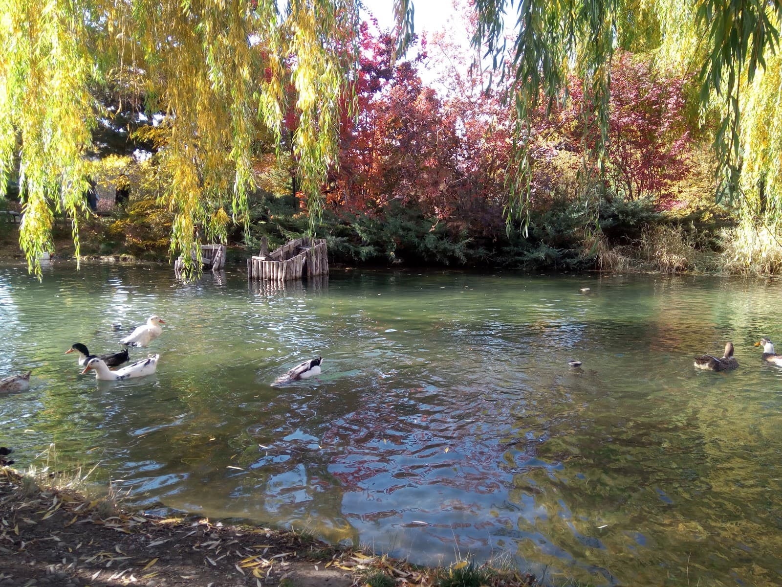 Atatürk University Botanical Garden - Image 1