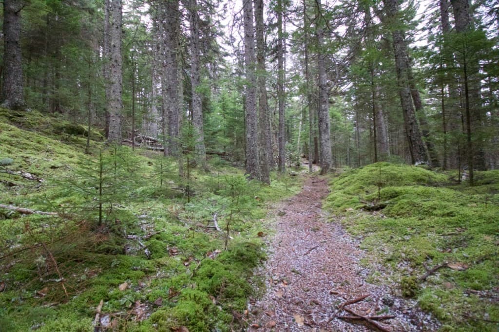 J. Neils Memorial County Park - Image 1