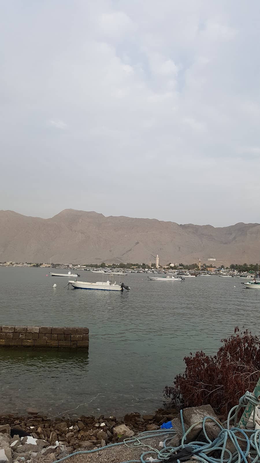 Local Culture & Heritage