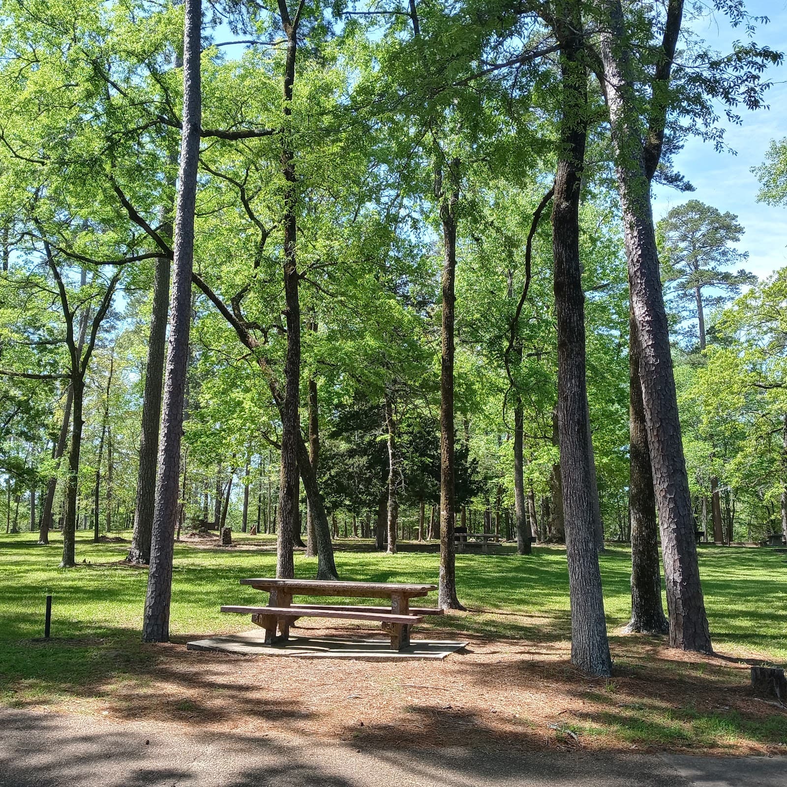 Ratcliff Lake Recreation Area - Image 1