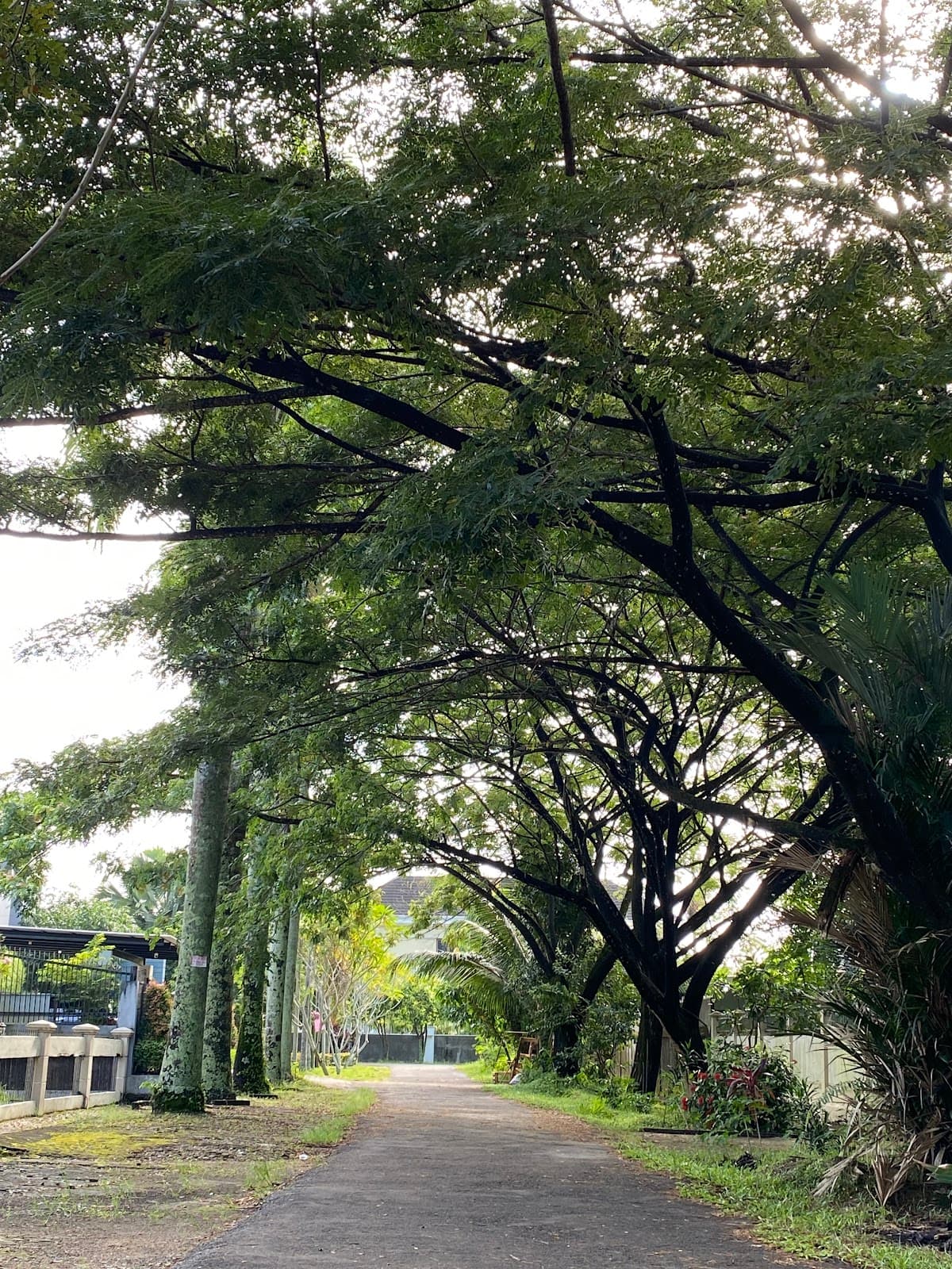 Taman Akcaya - Image 1