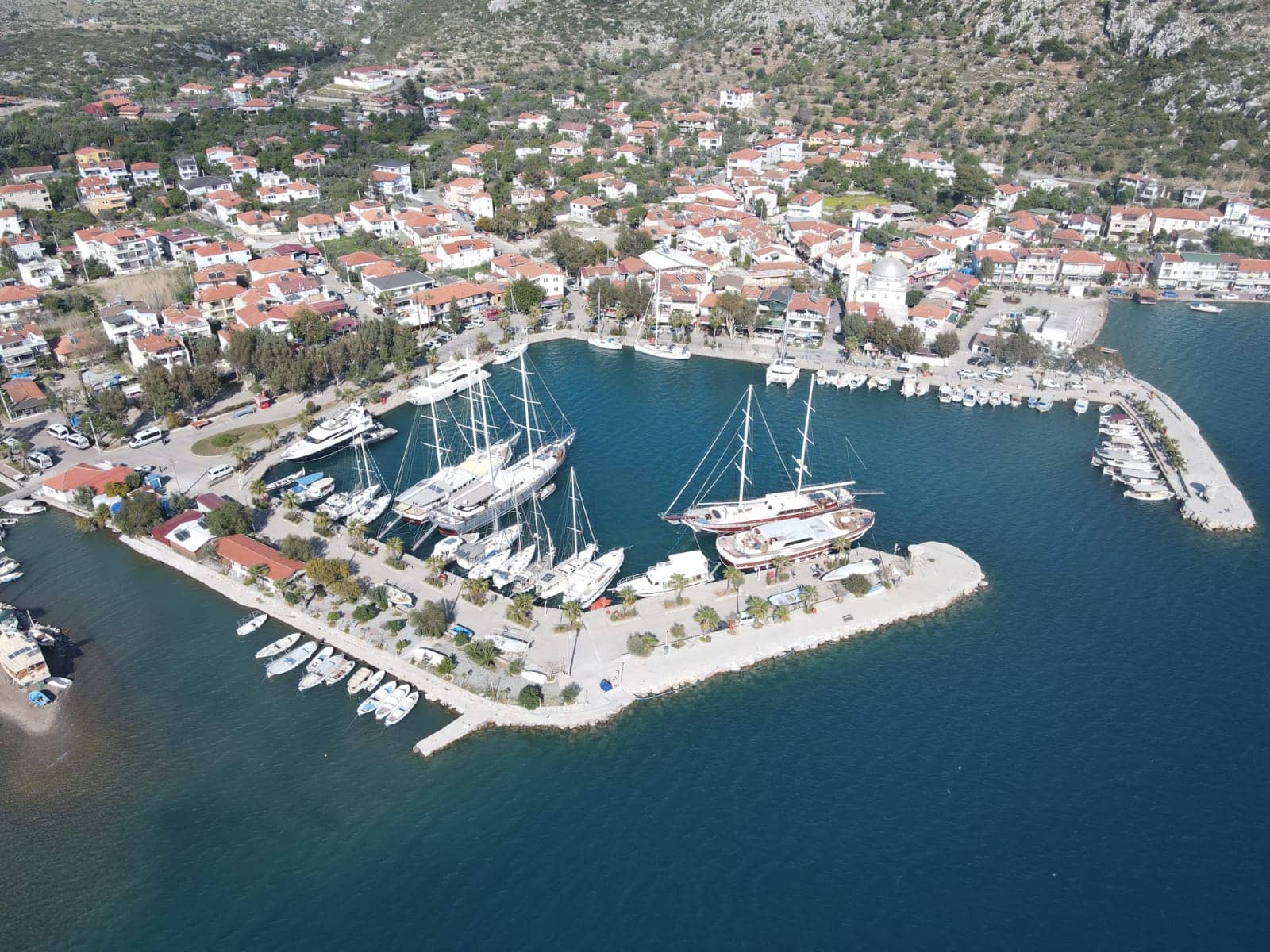 Tranquil Harbor Ambiance