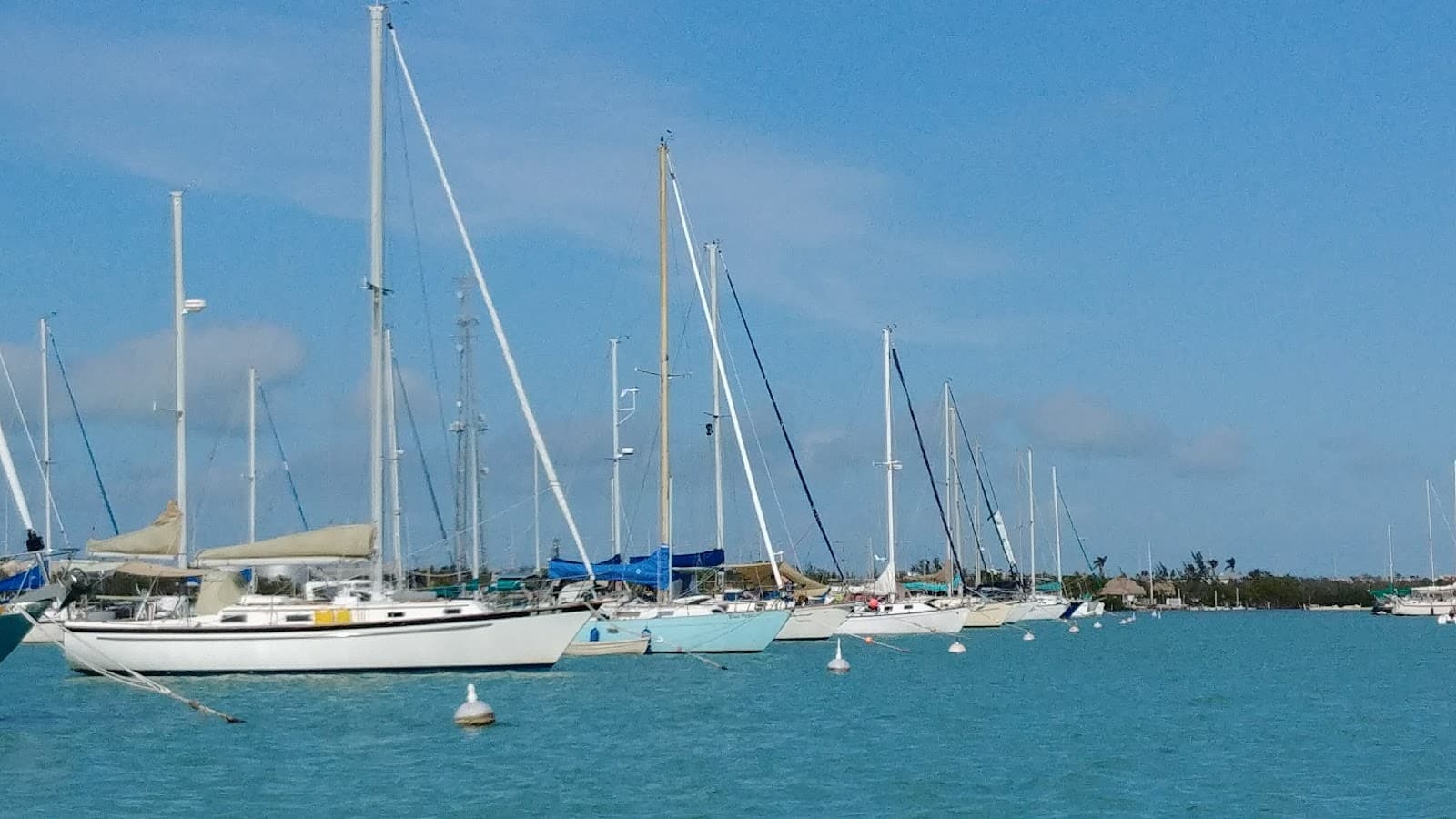 Boot Key Harbor Marathon FL - Image 1
