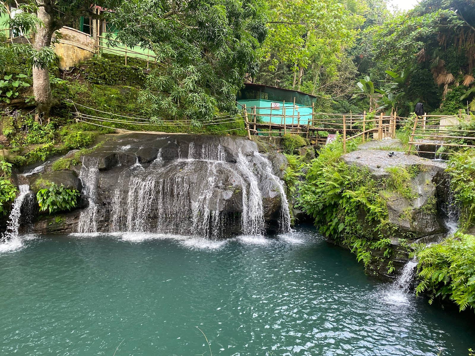 Nature & Camping Vibes