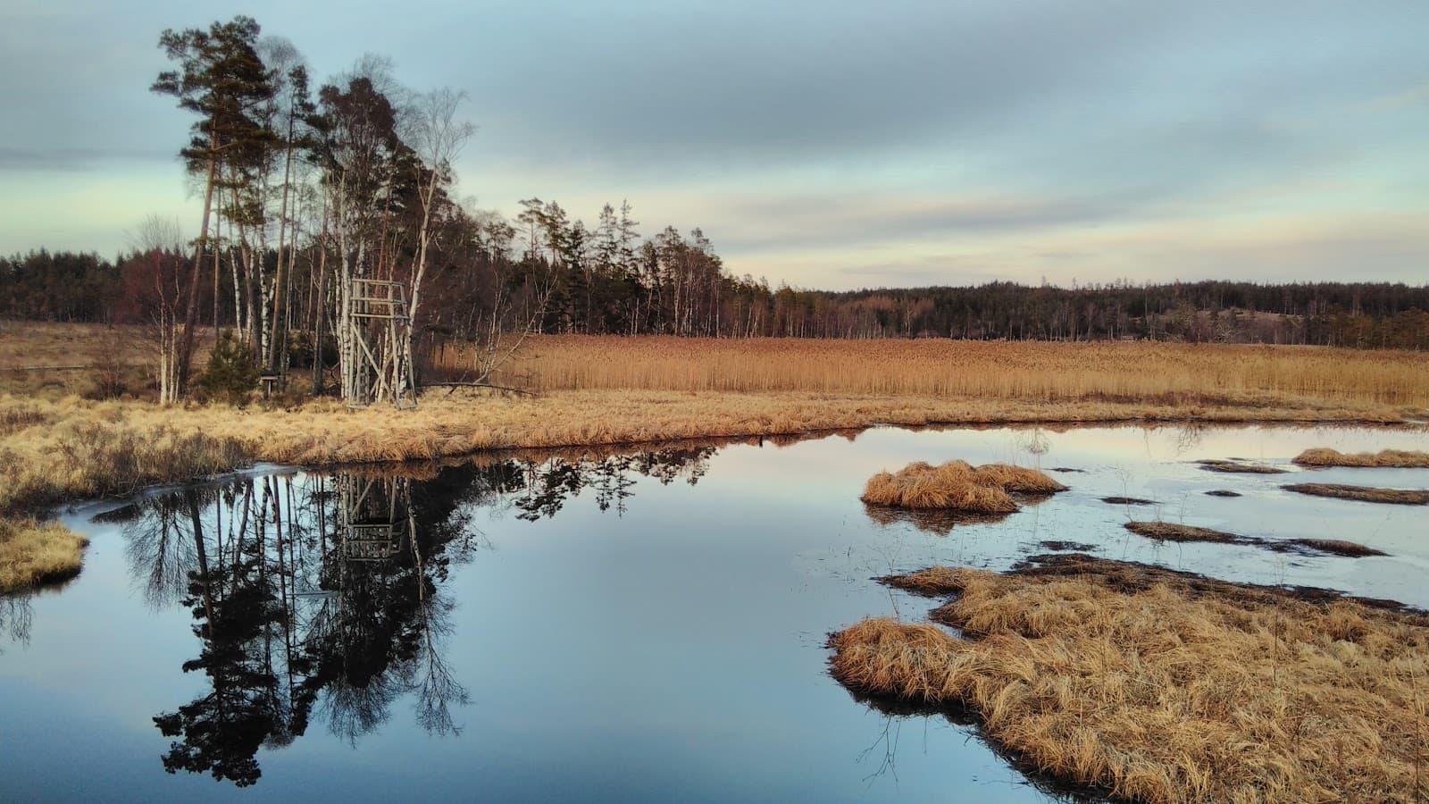 Vänga Mill & Nature Reserve - Image 1
