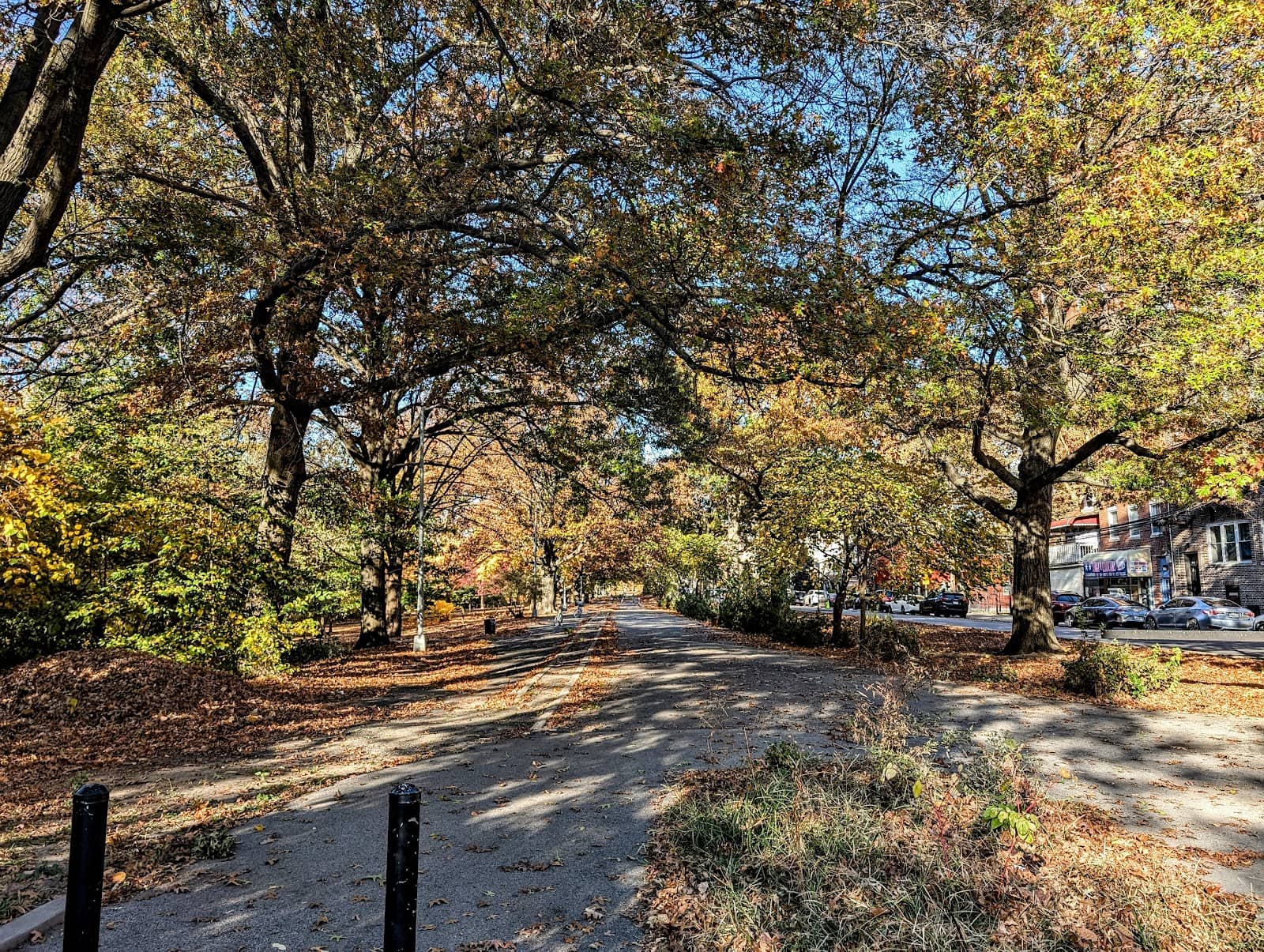 Shoelace Park