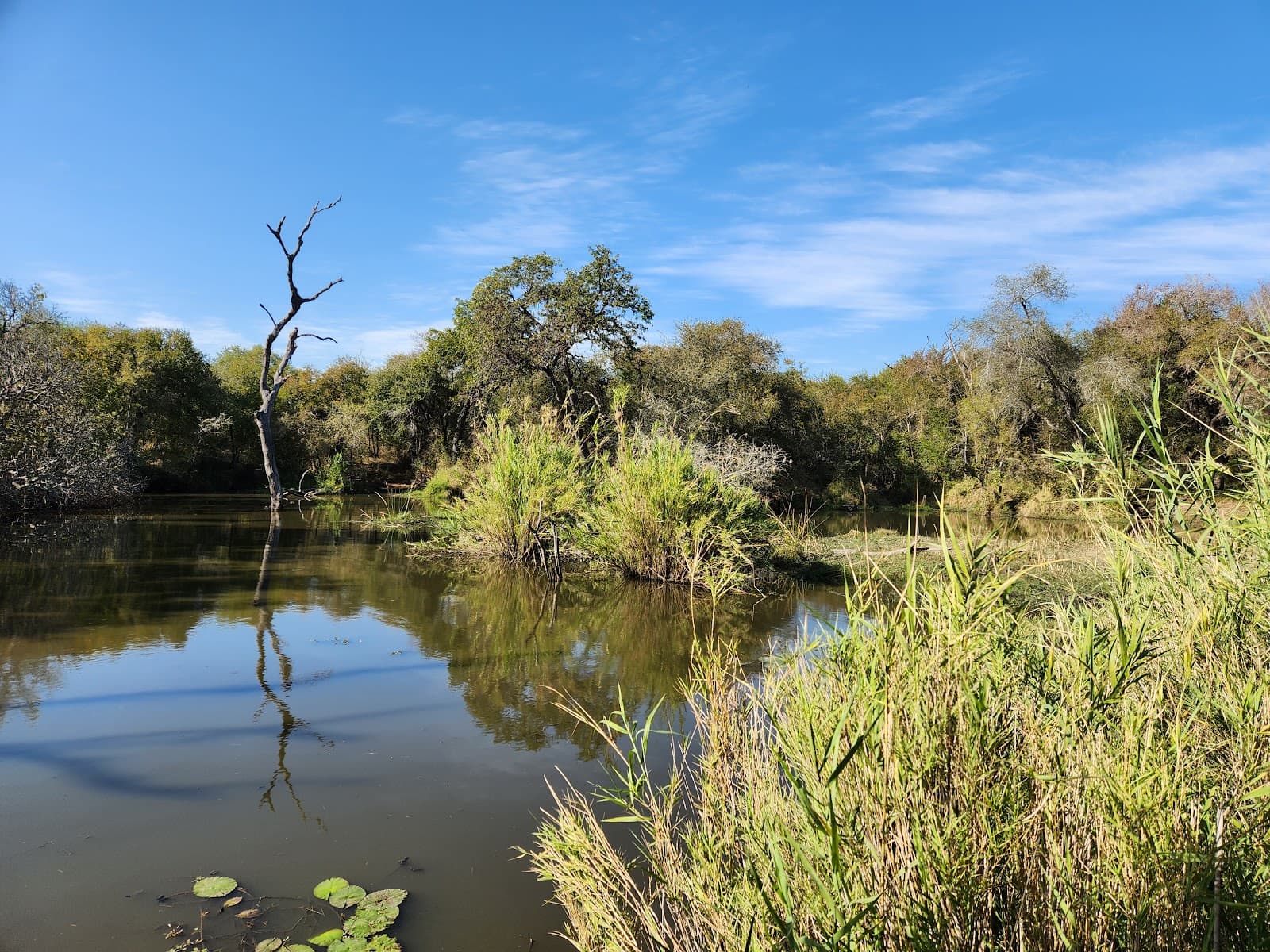 Lake Panic Bird Hide - Image 1