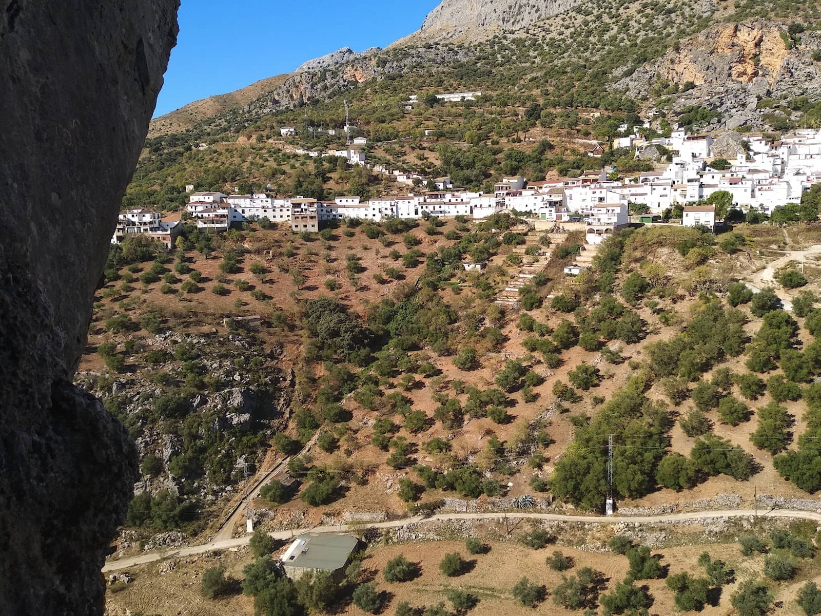 Vertical photo